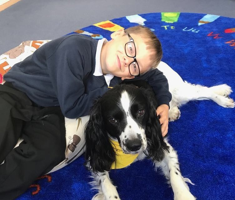 Bannockburn pupil Kyle Flannigan and Riggs the therapet