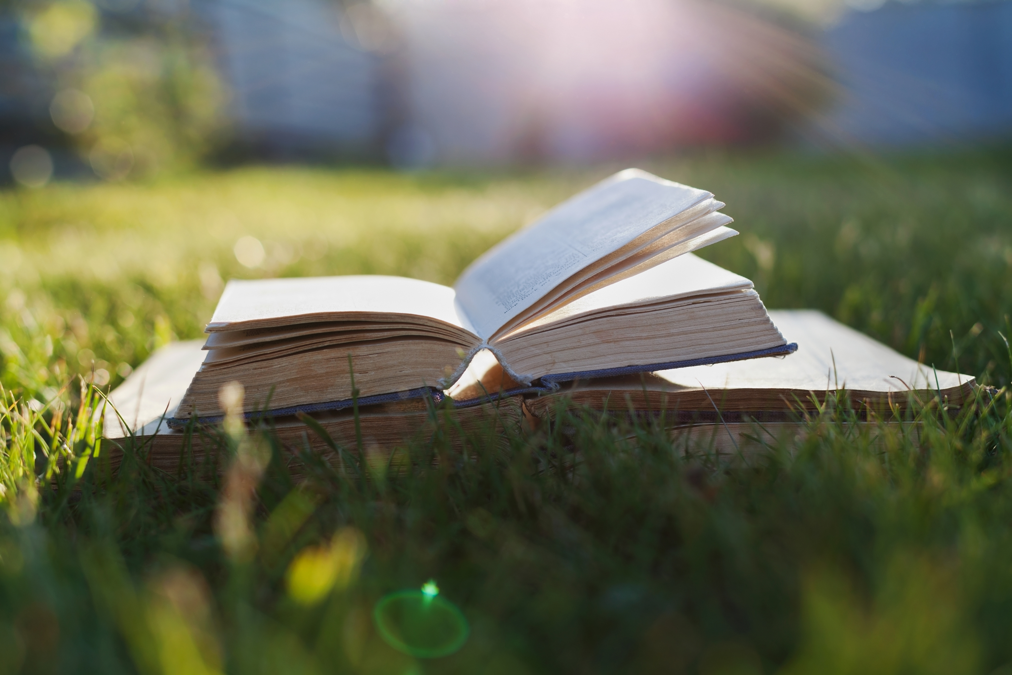 What's your favourite nature book? (iStock)