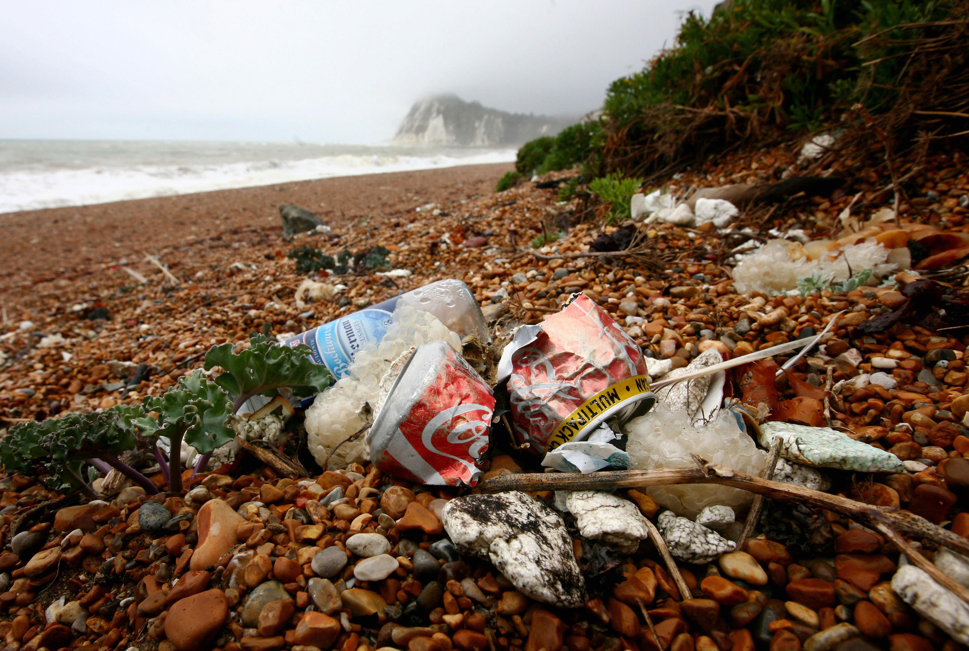 On average, 138 pieces of food and drink waste were found for every 100 metres of beach, with items picked up in the Marine Conservation Society's Great British Beach Clean ranging from plastic cutlery and straws to sandwich packaging and lolly sticks. (Gareth Fuller/PA Wire)