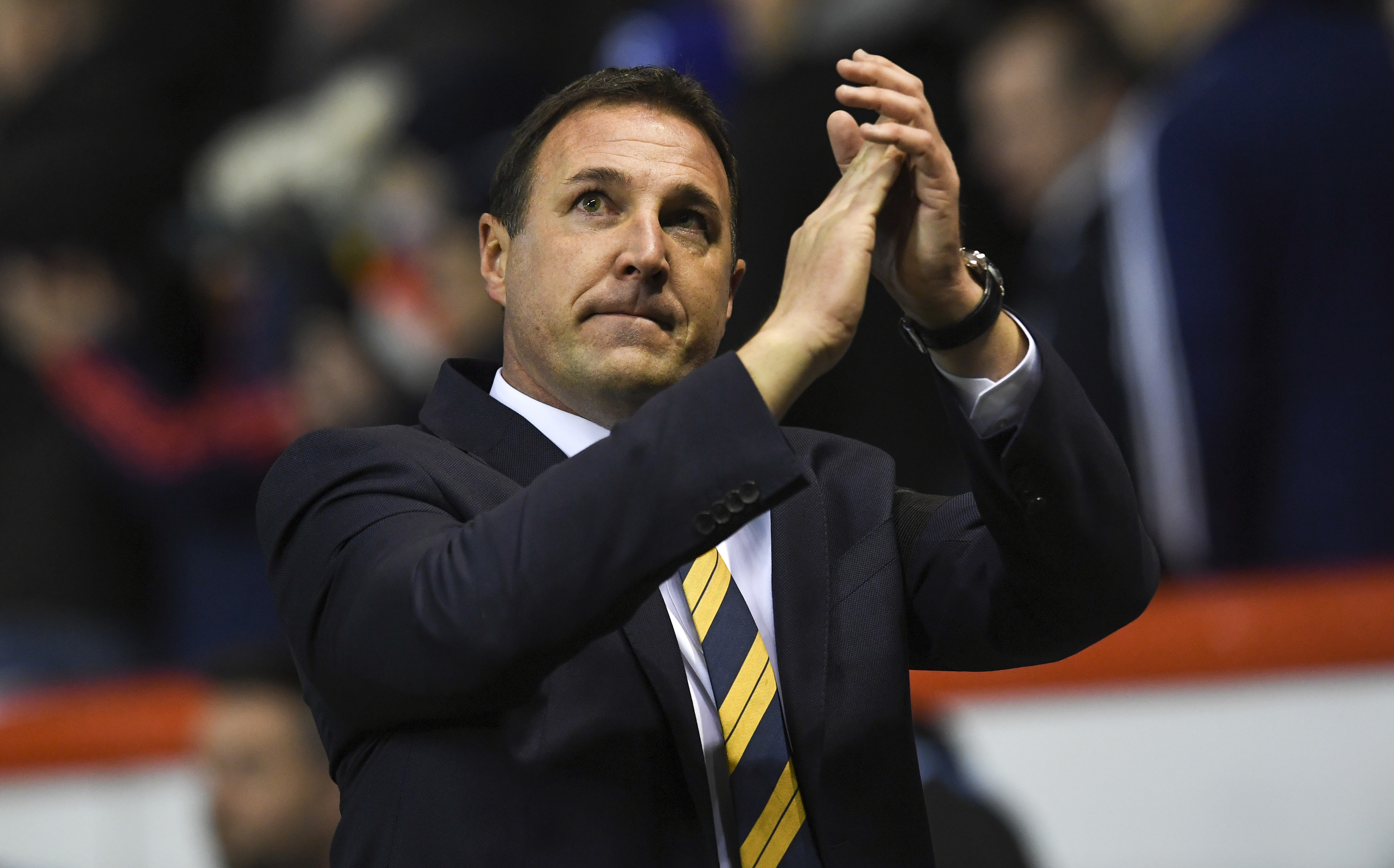 Interim Scotland manager Malky Mackay (SNS Group / Craig Williamson)