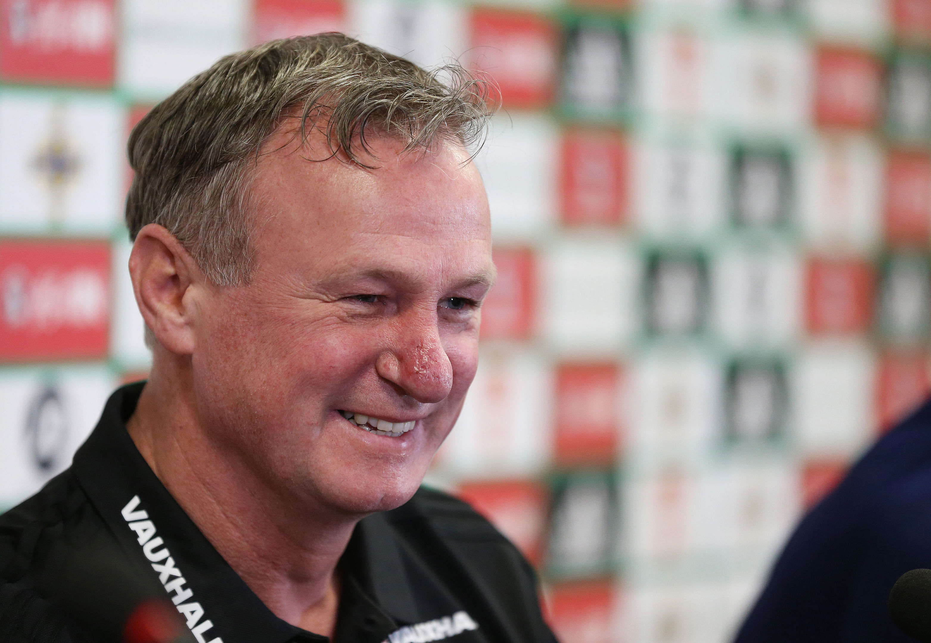 Northern Ireland manager Michael O'Neill (Brian Lawless/PA Wire)
