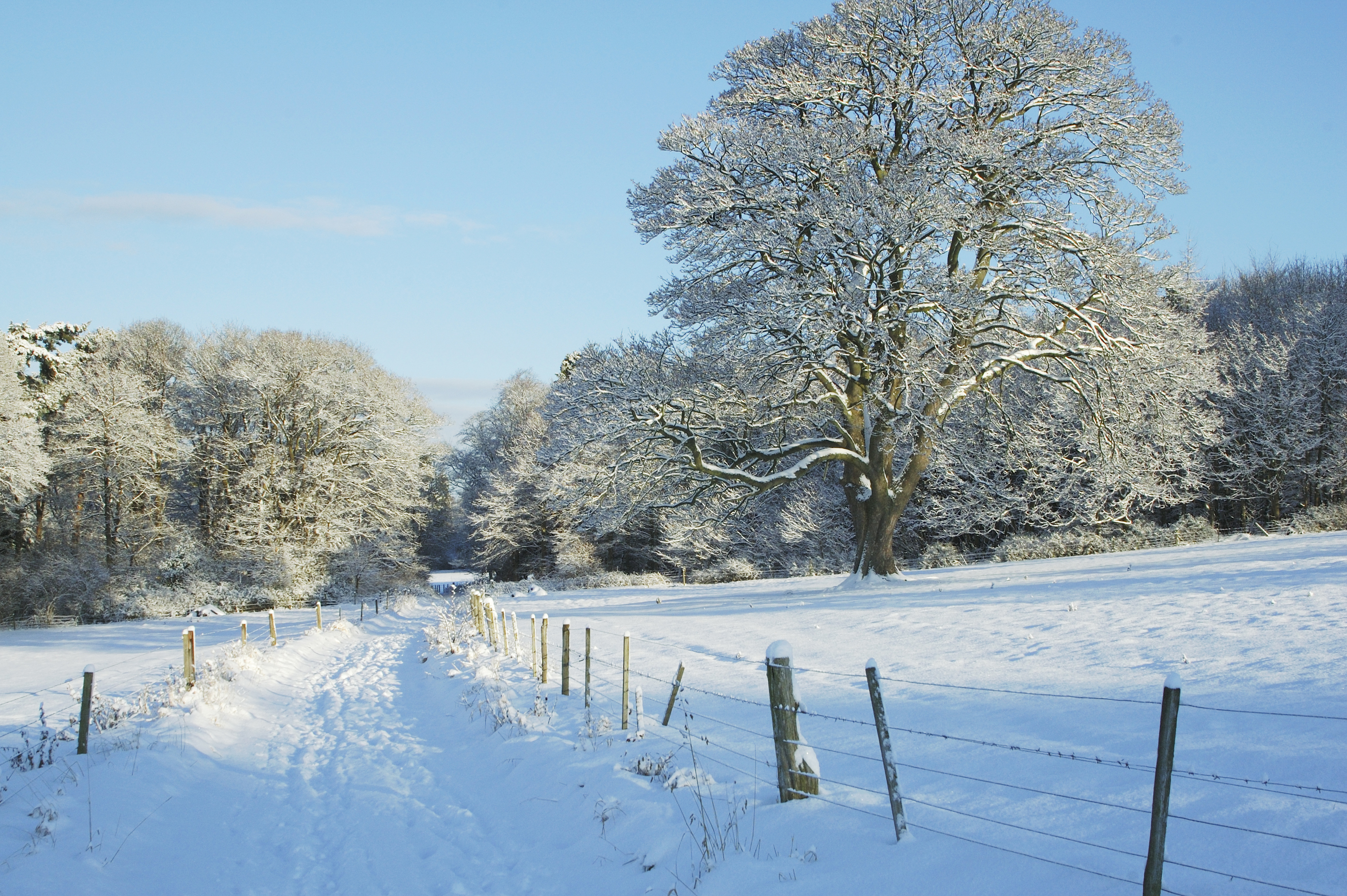 The Met Office has issued snow and ice warnings for parts of Scotland (iStock)