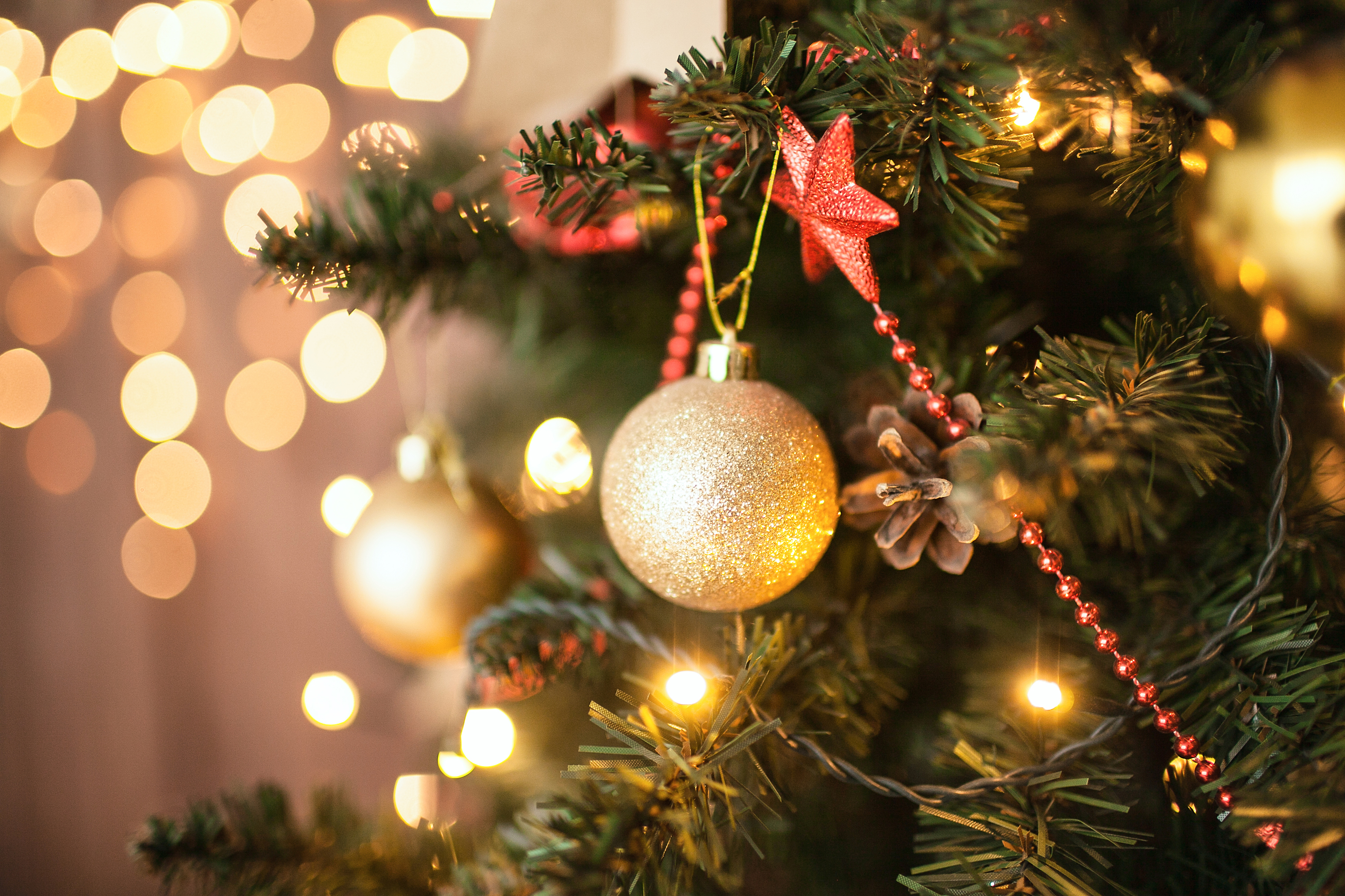 Christmas Trees: Do you buy real or fake? (iStock)