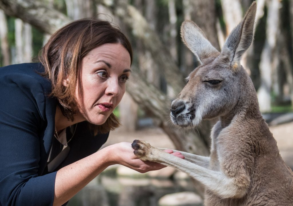 Kezia Dugdale feeding a Kangaroo (James Gourley/REX/Shutterstock)
