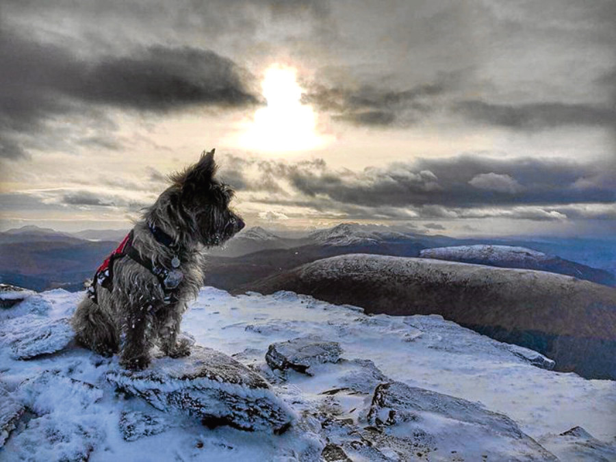 Oran likes nothing better than bagging Munros