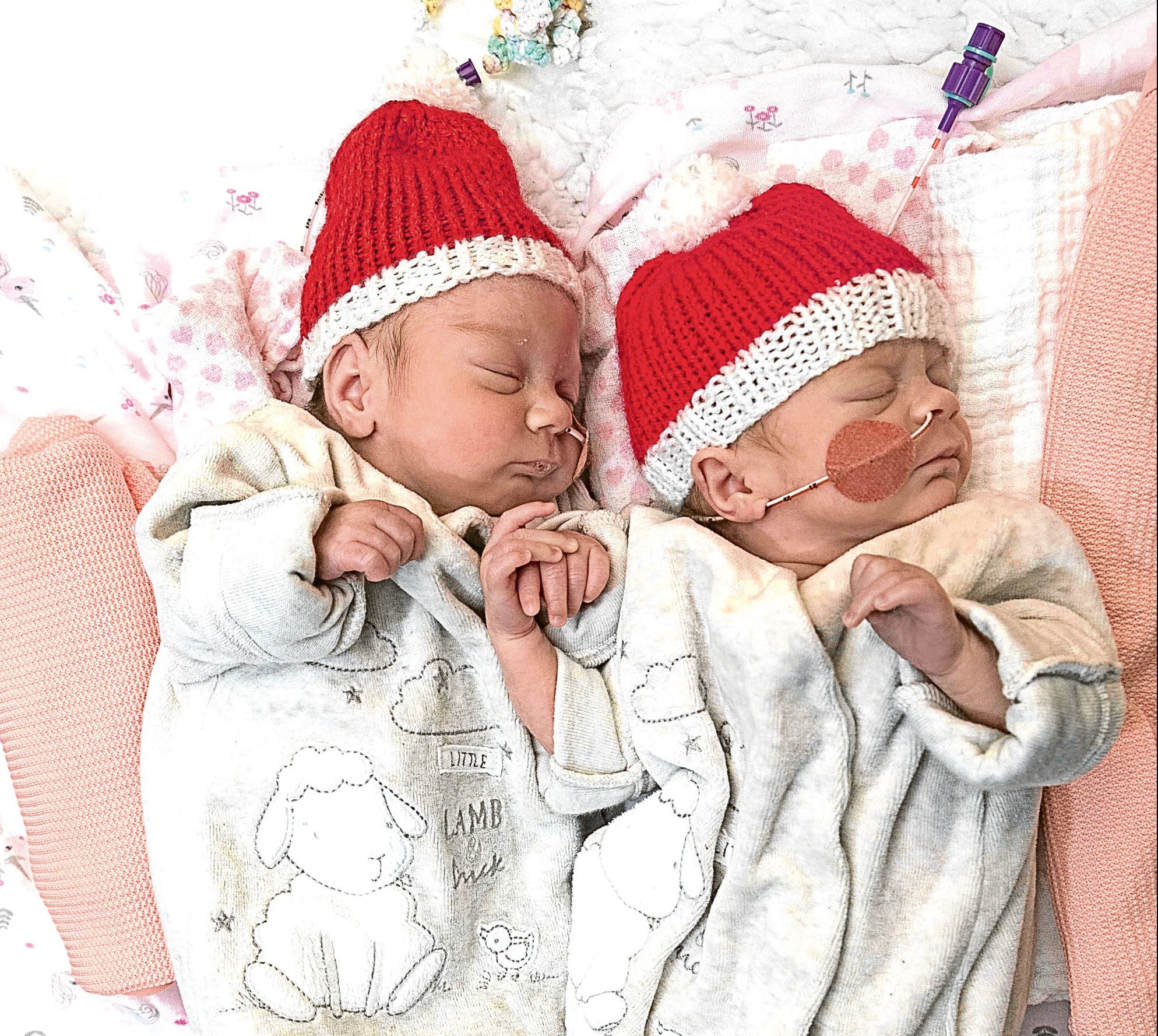Twins (L) Orla and Aila
(Derek  Ironside / Newsline Media)