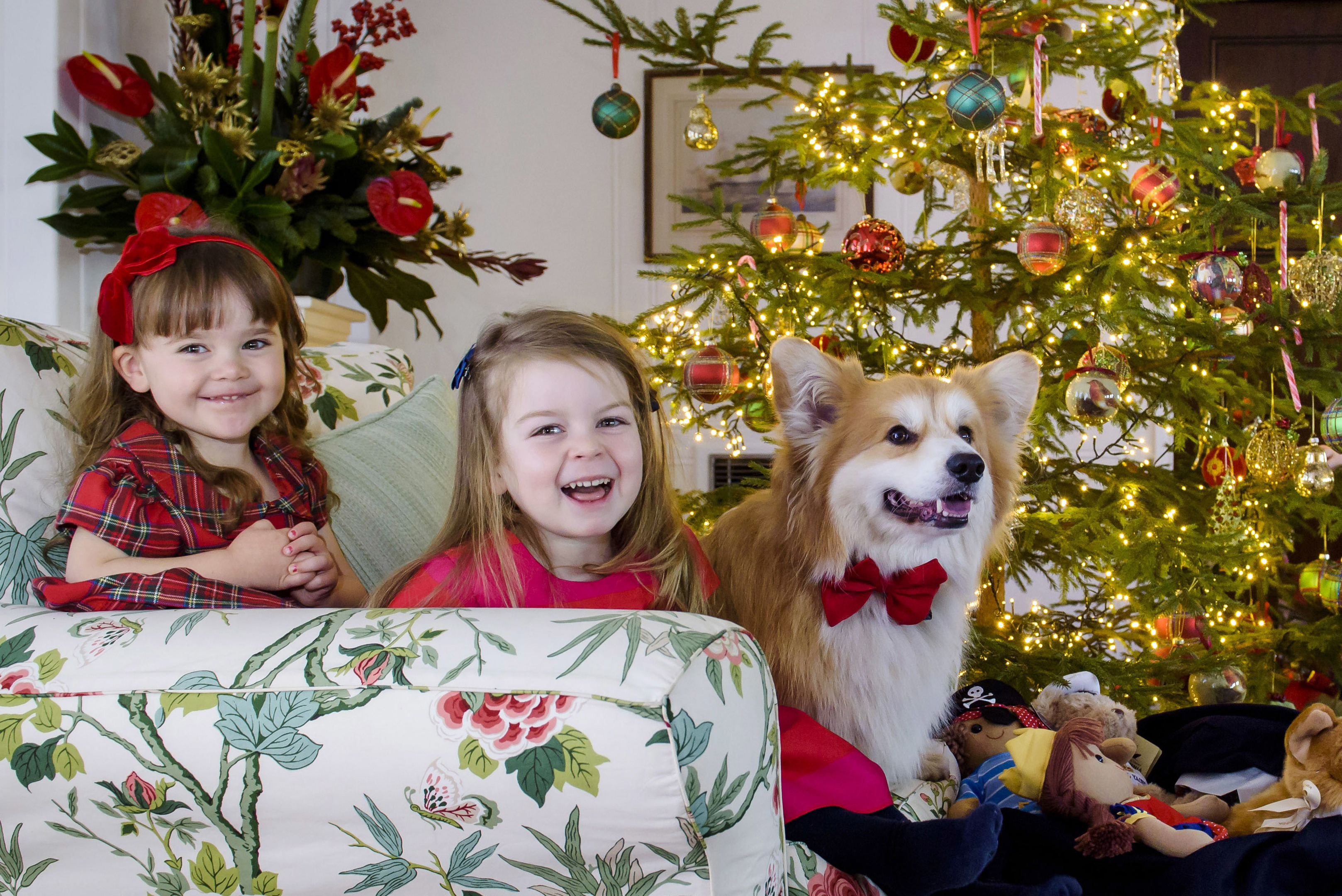 Marcel le Corgi and friends on board the Royal Yacht Britannia (Helen Pugh Photography)