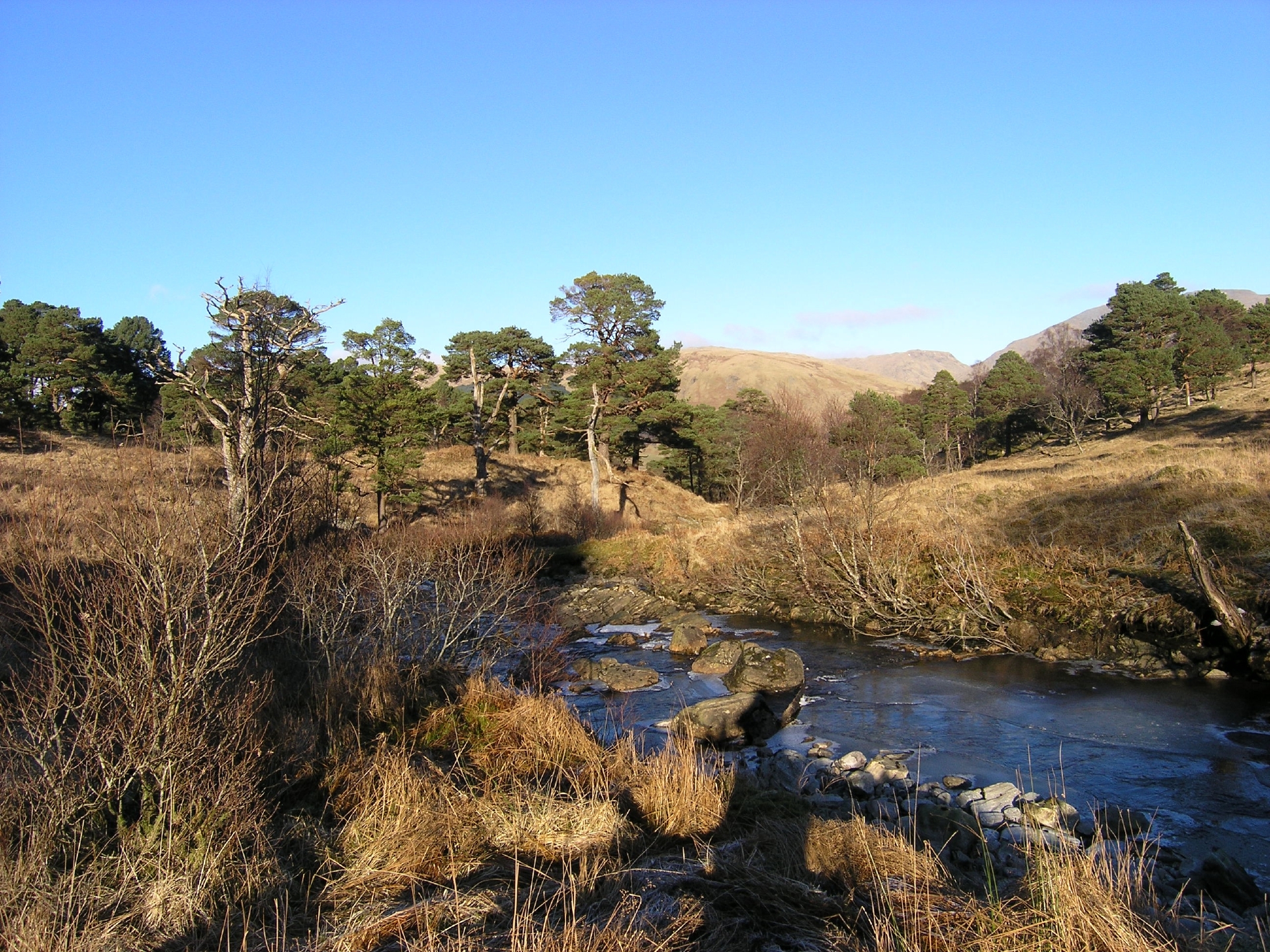 Inverewe Gardens in Wester Ross.