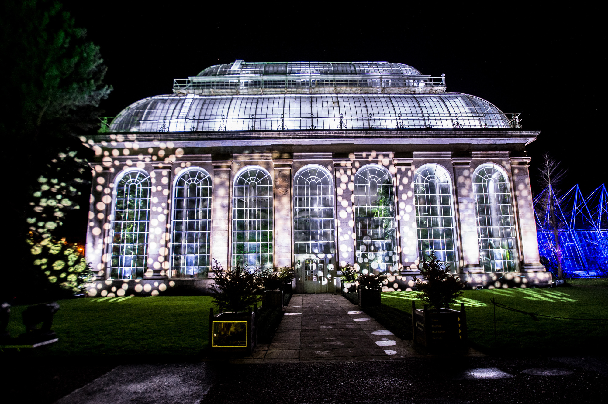 Christmas at the Botanics, Edinburgh.