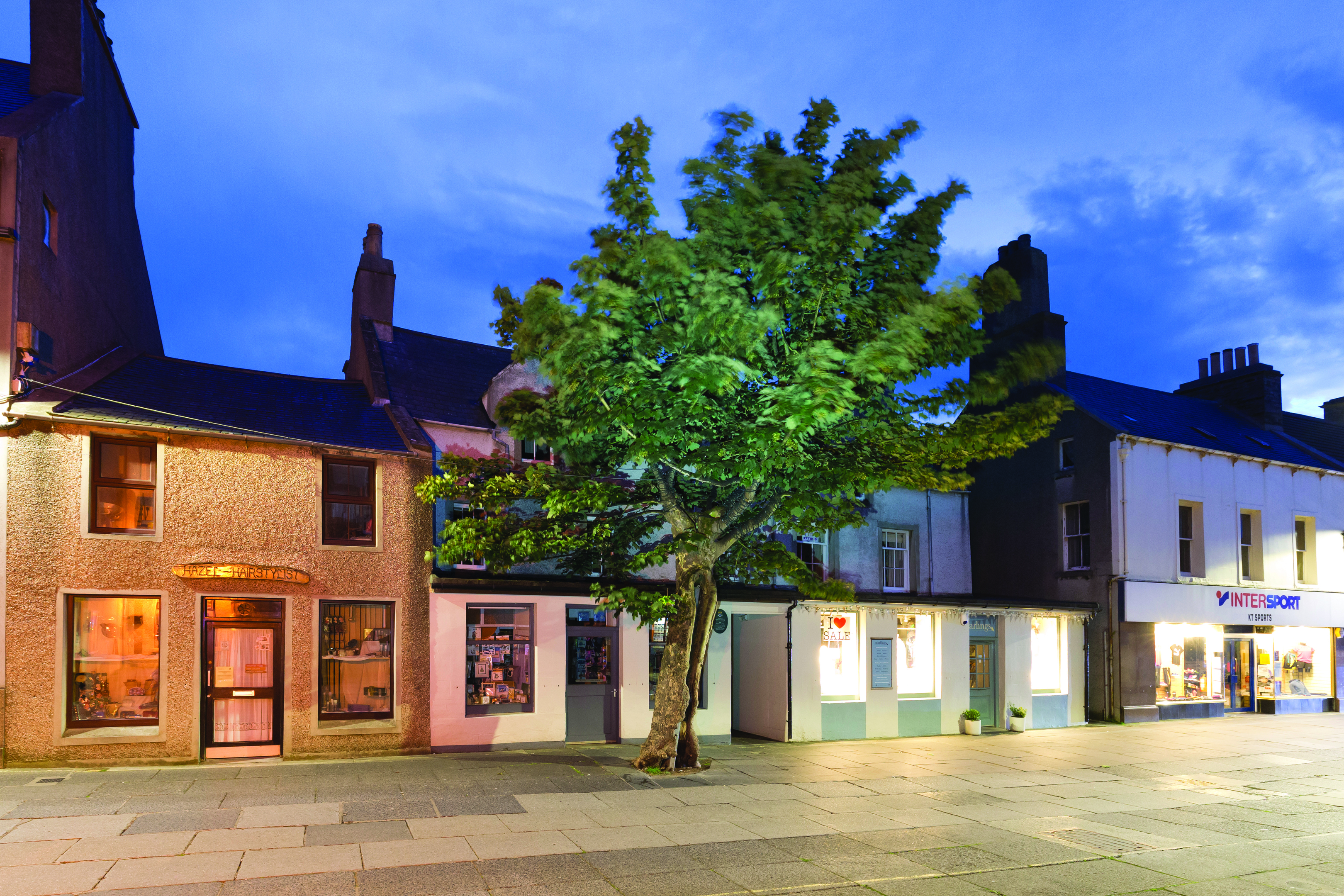 The Big Tree, Kirkwall (Mark Ferguson)