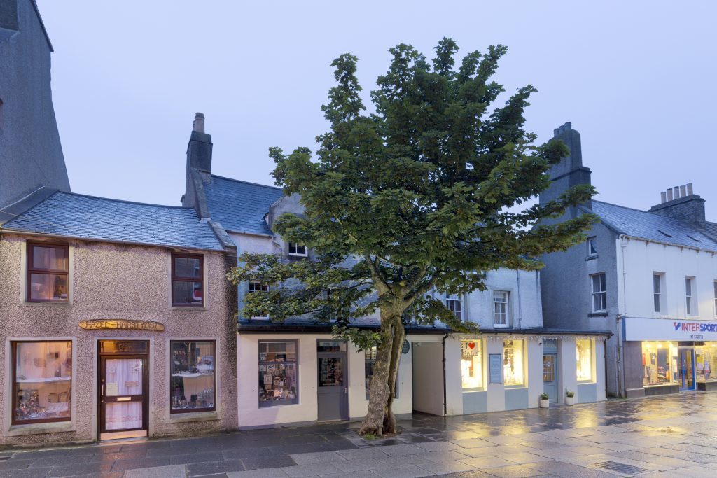 The Big Tree, Kirkwall (Mark Ferguson)