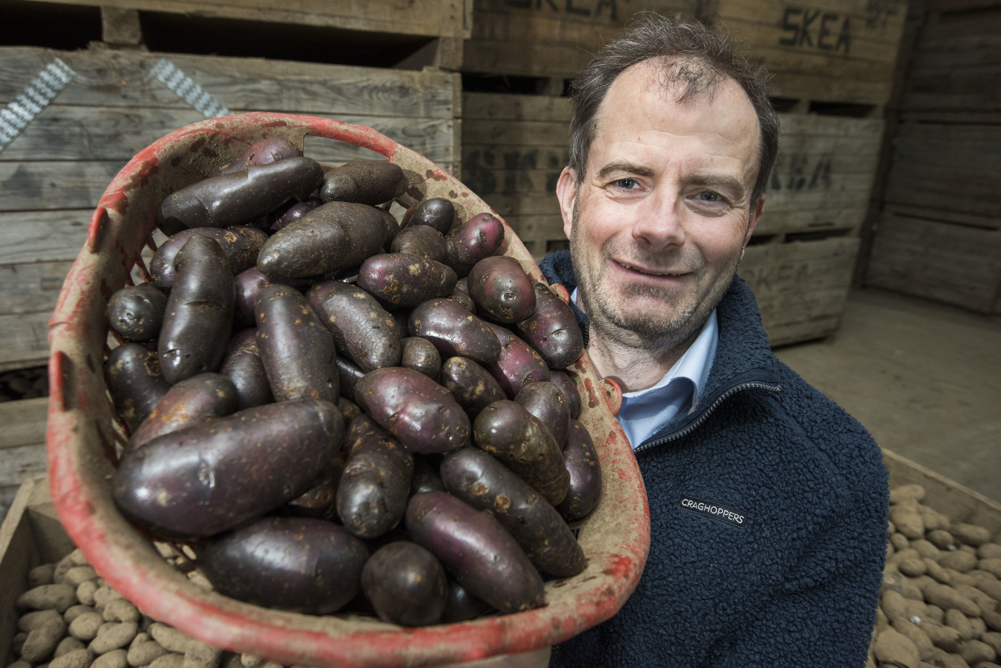 Andrew Skea with his Shetland Black Potatoes (Alan Richardson)