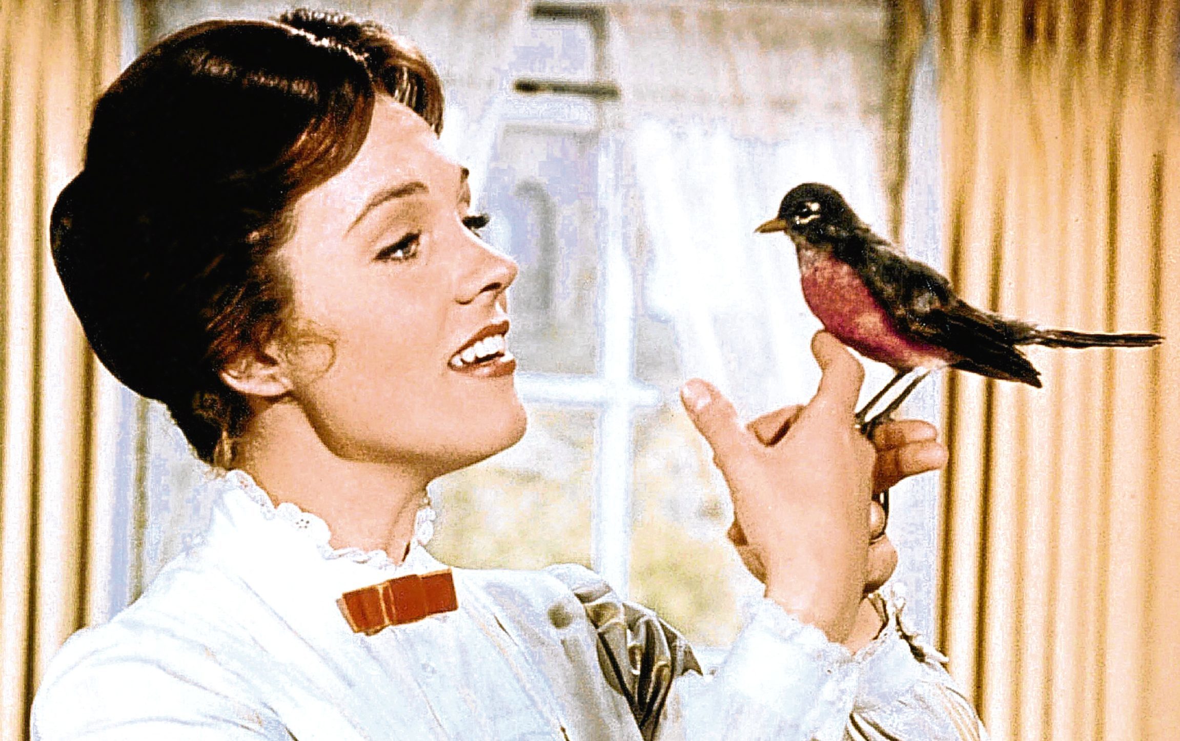 Julie Andrews as Mary Poppins