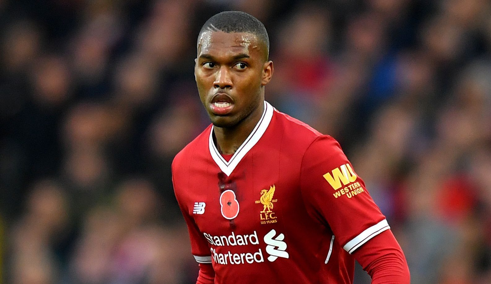 Daniel Sturridge (Dave Howarth/PA Wire)