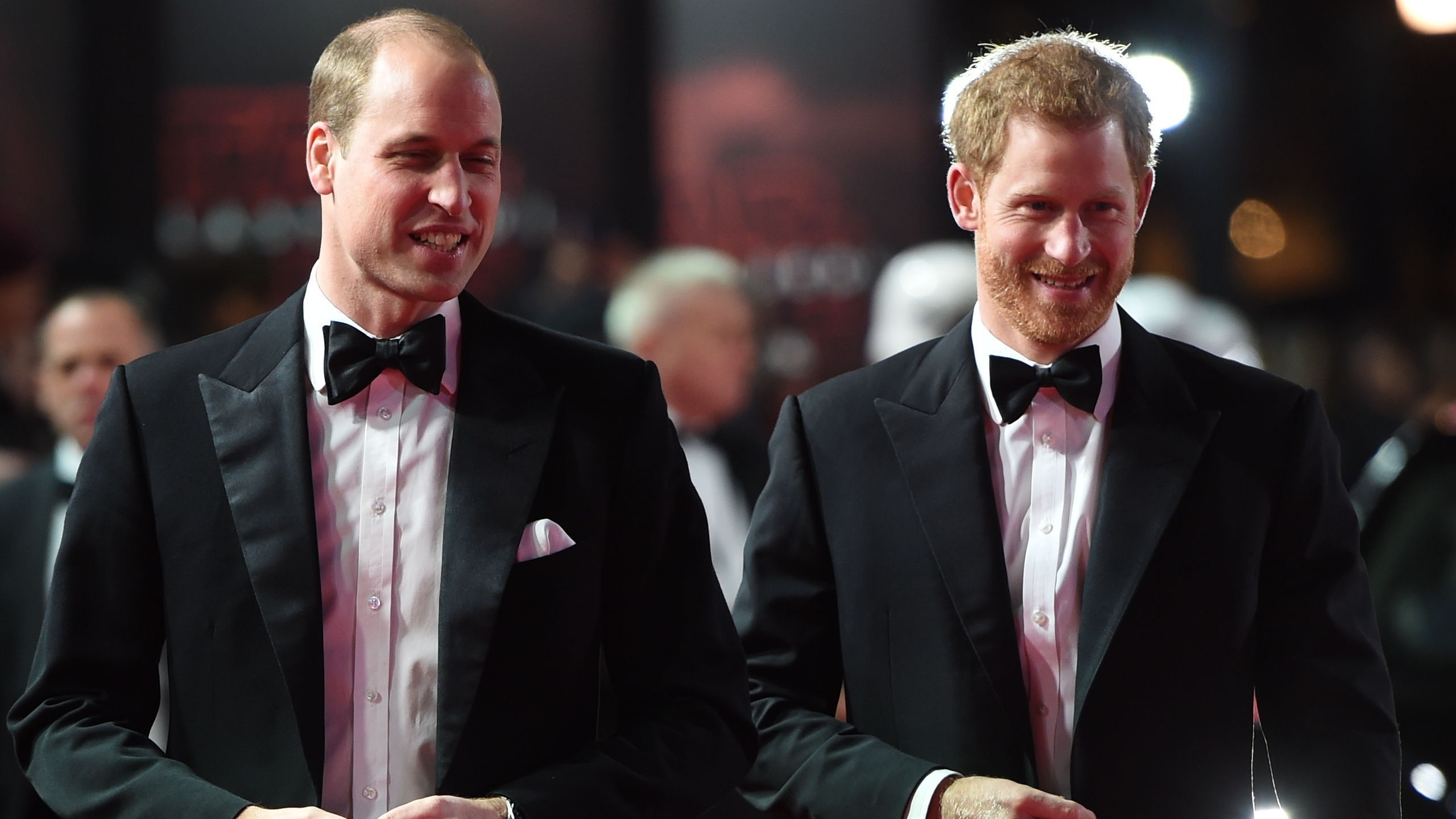 Prince Harry and Prince William (Eddie Mulholland/Daily Telegraph/PA)