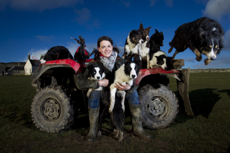 The Cross Border Collies German Shepherd Reveals Her Dogs Can Herd the-cross-border-collies-german-shepherd-reveals-her-dogs-can-herd