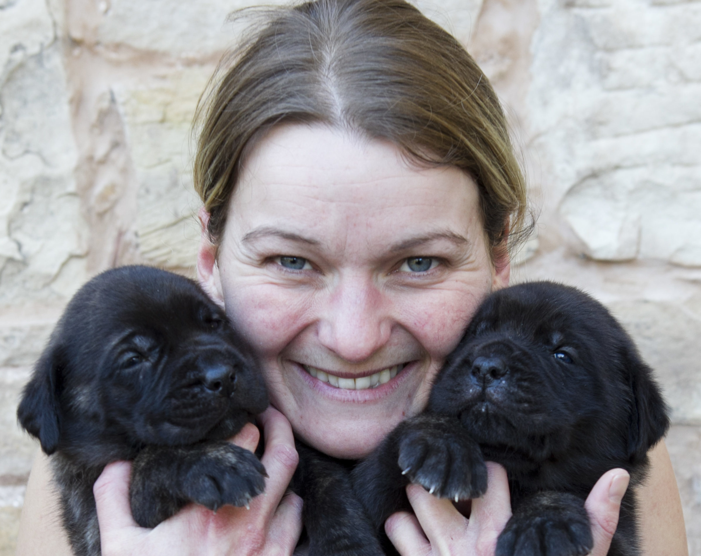 Breeder Hazel Manson, with her litter of English Mastiff puppies (Andrew Cawley)