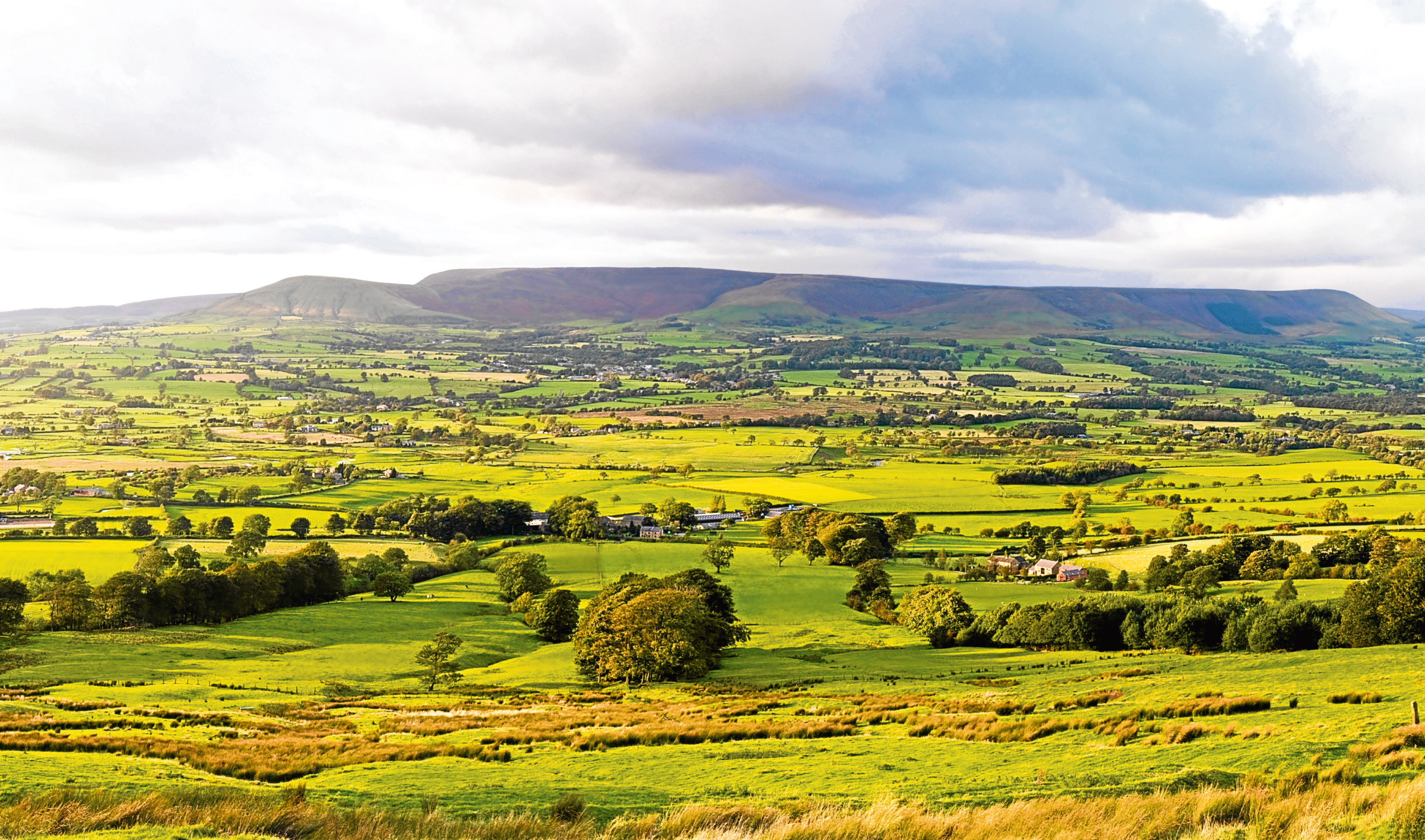 View across the Ribble Valley towards the Trough of Bowland (Alamy)