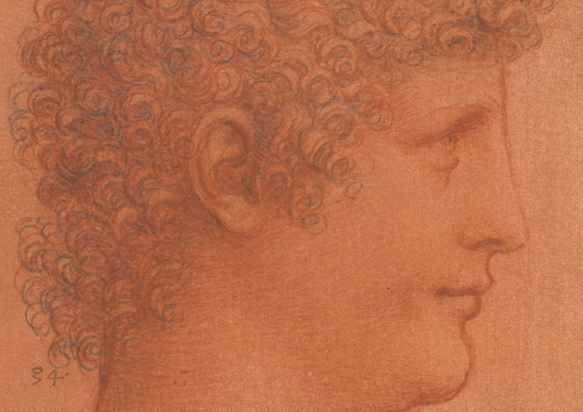 The head of a youth, c.1510, one of almost 150 drawings by Leonardo da Vinci will go on display (Royal Collection Trust/PA Wire)