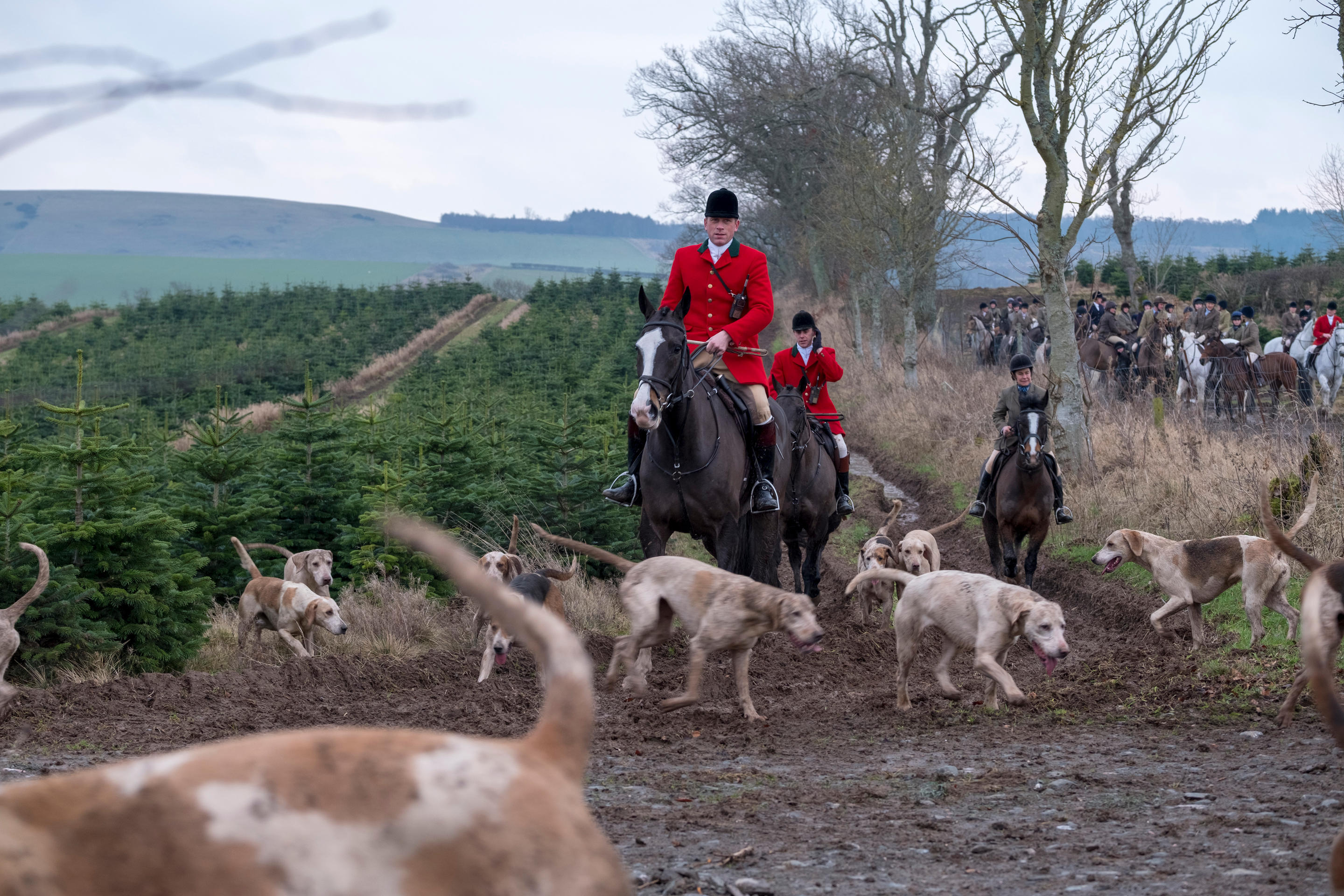 Huntsman Tim Allen with the Duke of Buccleuch's Hunt Foxhounds (Rob Gray/Alamy Live News)