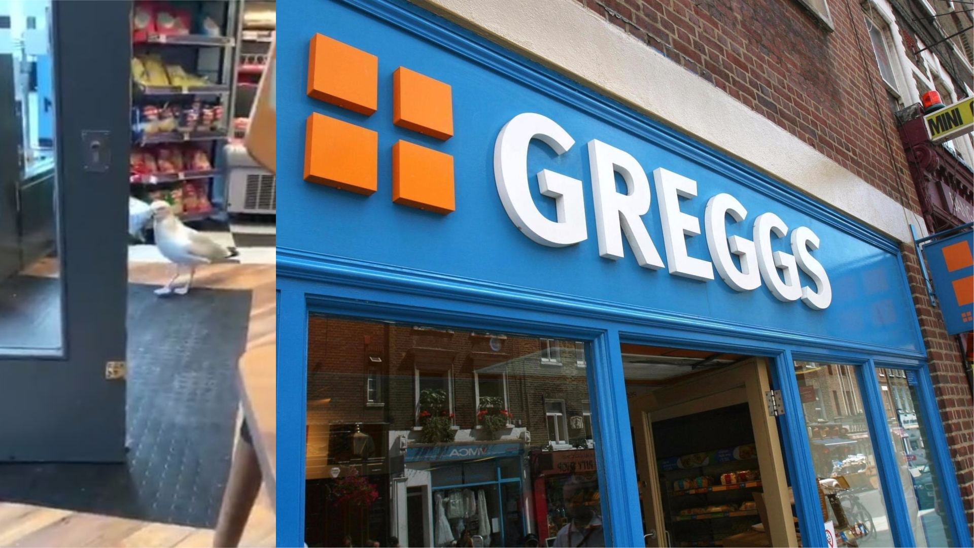 Seagull steals crisps from Ayr Greggs (Caitlin Hamilton/Tim Ireland/PA)