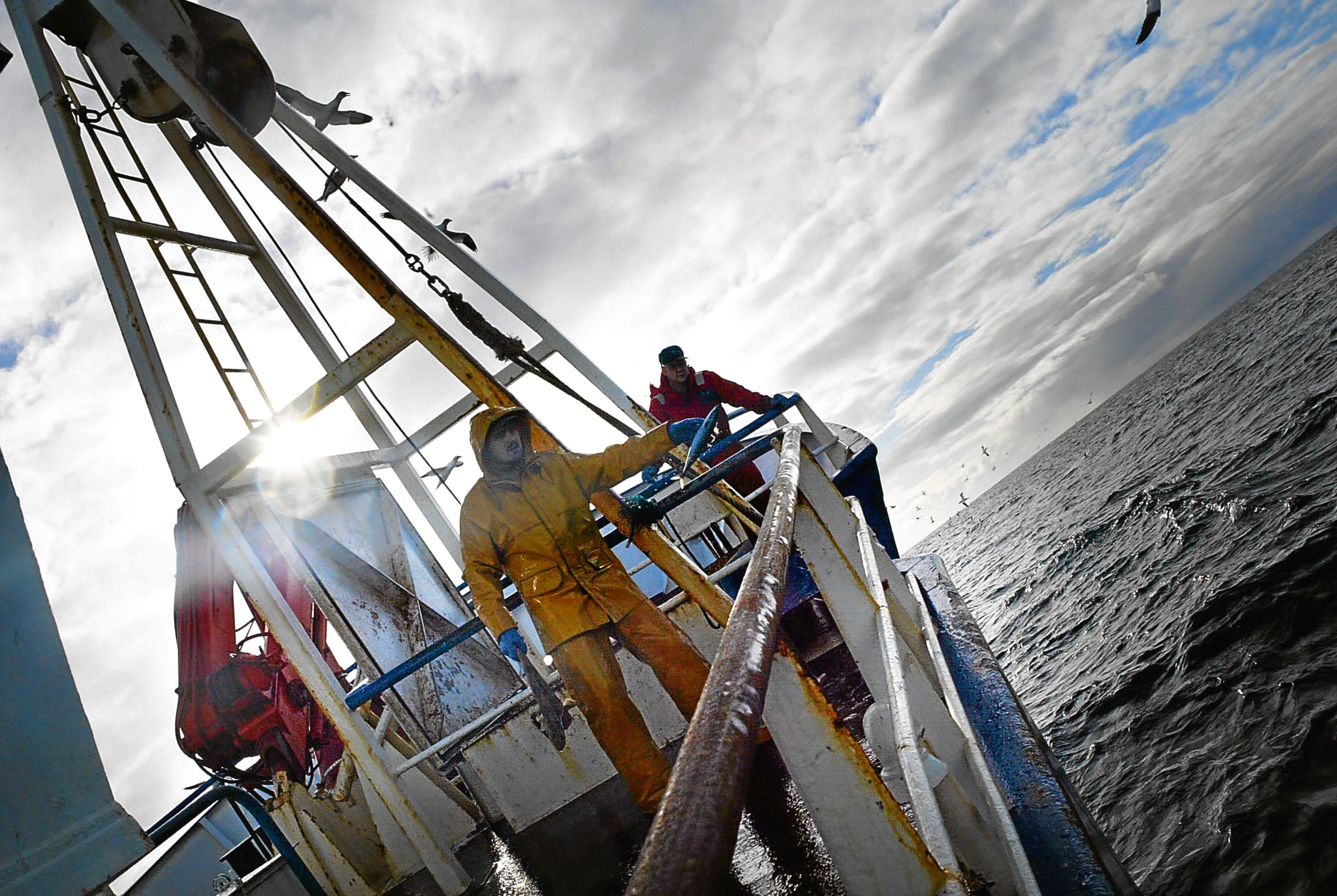 Scottish trawler men aboard the trawler, Carina, haul in their catch some 70 miles off the North coast of Scotland, (Chris Furlong/Getty Images)