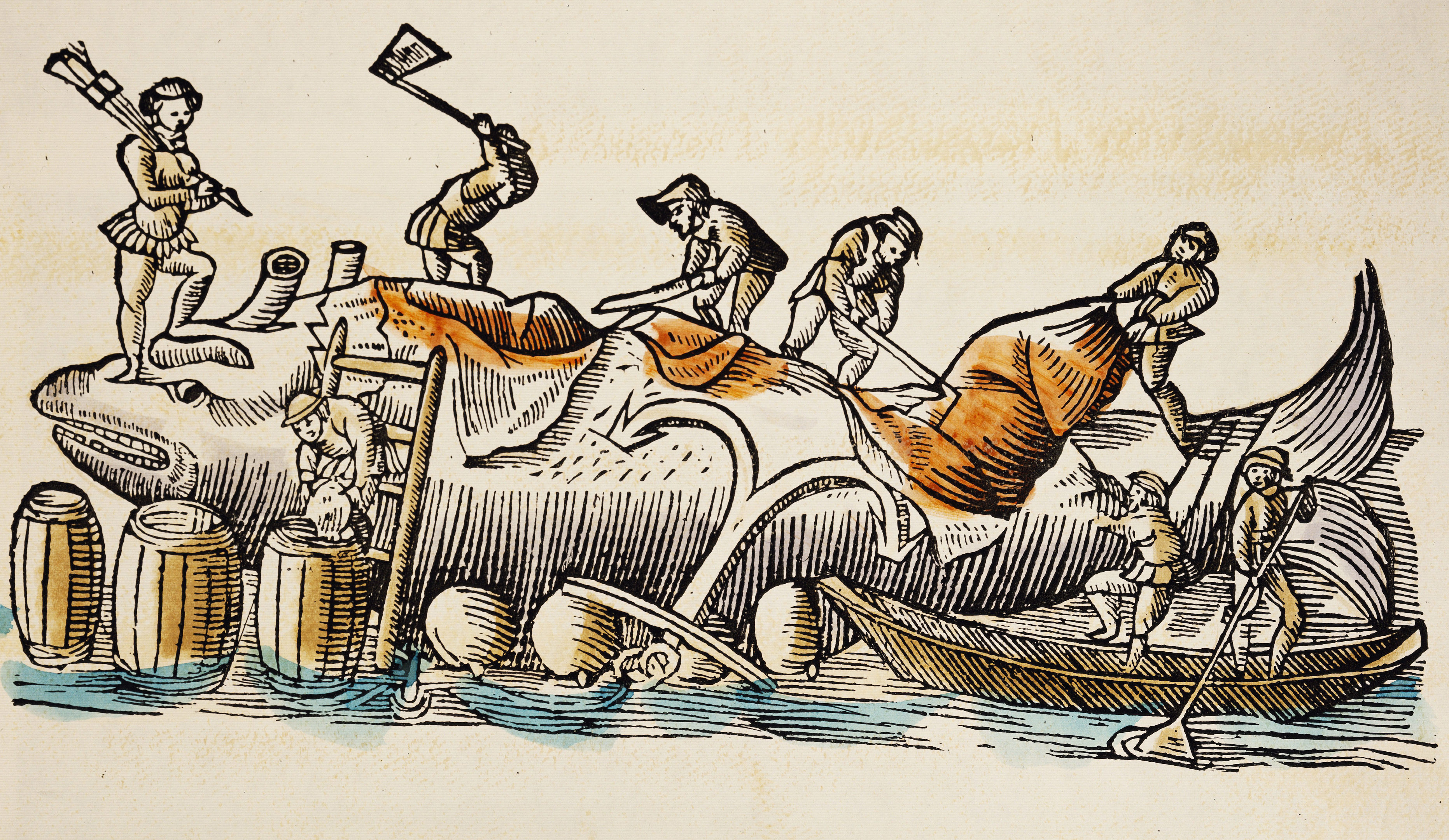 Ancient woodcut shows Faroe Islanders and a stranded whale (Alamy)