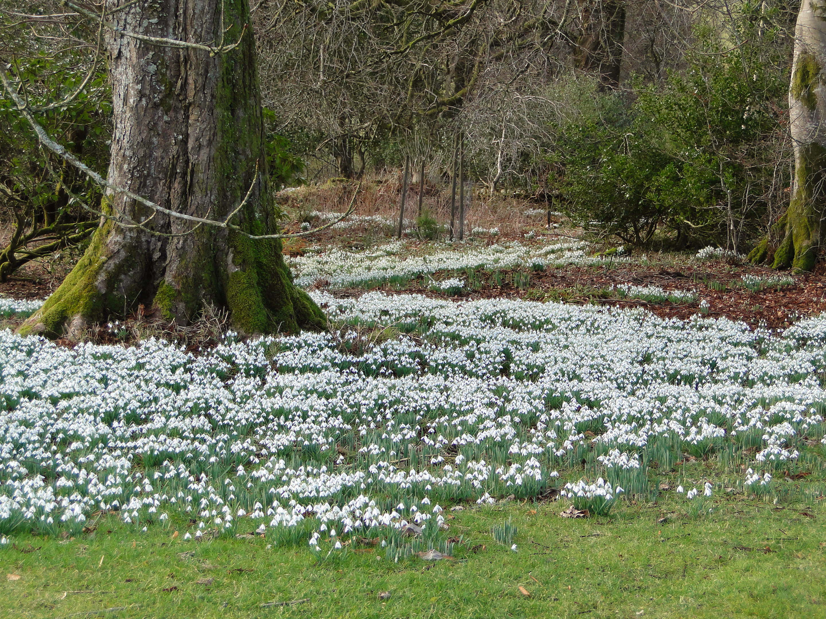 Brooklands, Kirkcudbrightshire