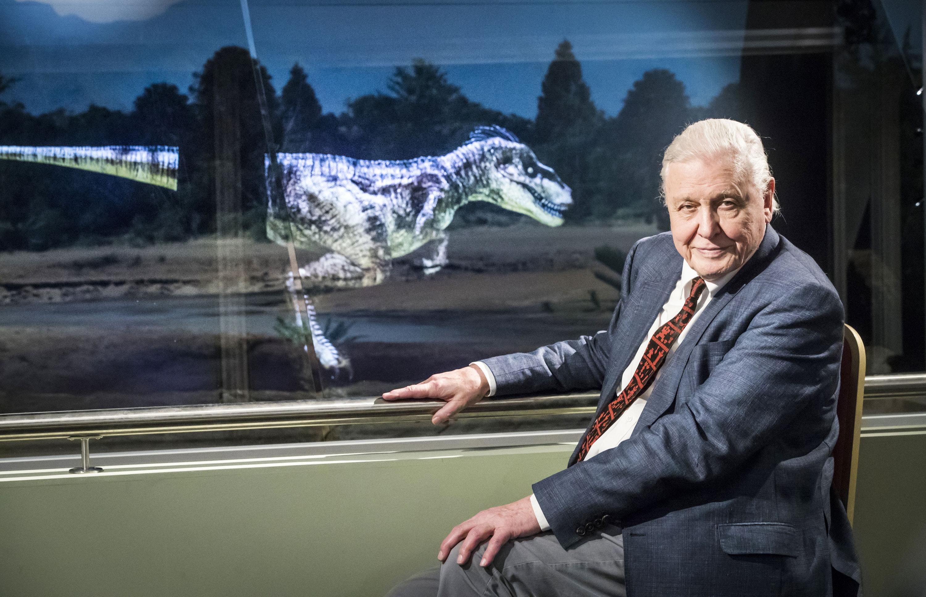 Sir David Attenborough as he officially opens Yorkshire’s Jurassic World at the Yorkshire Museum in York (Danny Lawson/PA)