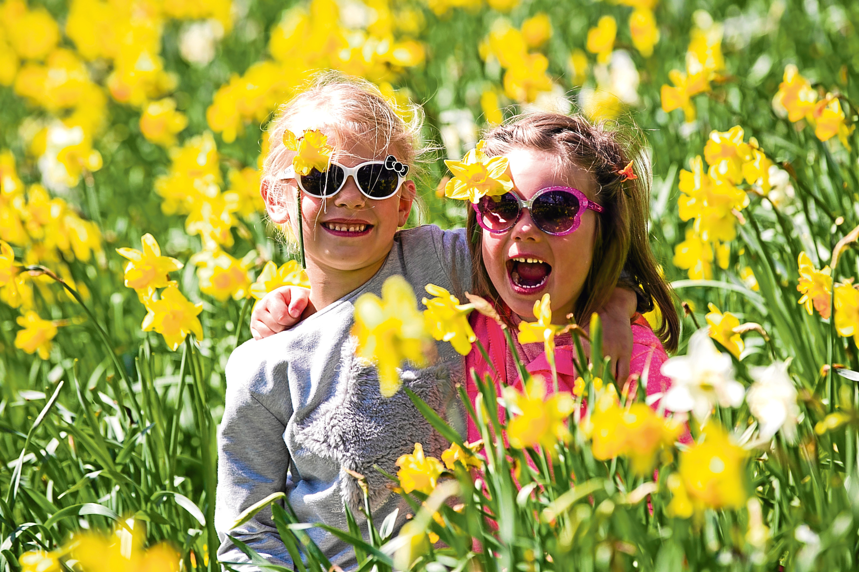 Nela (5) and Hanna (4) from Edinburgh, enjoying the sun in Linlithgow (Andrew Cawley / DC Thomson)