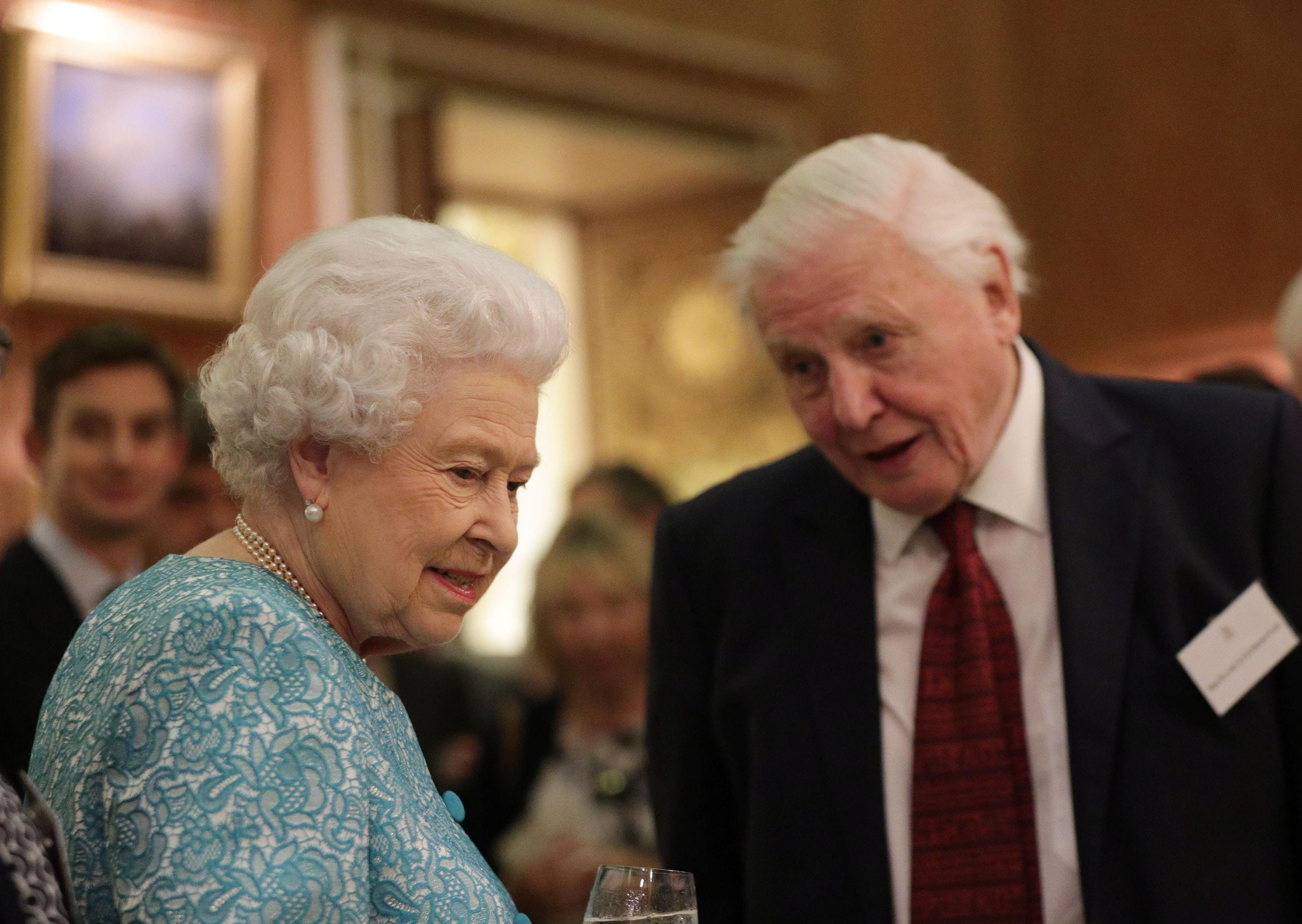 The Queen and Sir David Attenborough, pictured during a Queen’s Commonwealth Canopy event at Buckingham Palace, will appear in a documentary about the project. (Yui Mok/PA)