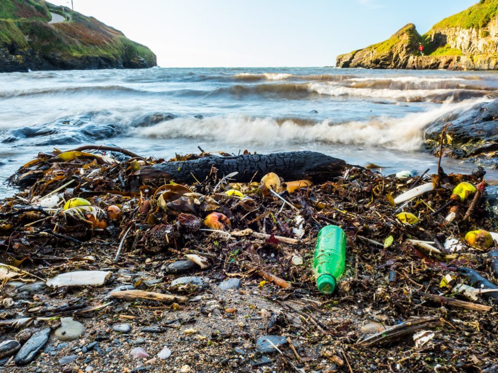 Plastics are killing marine life (Nigel_Wallace/Getty Images)
