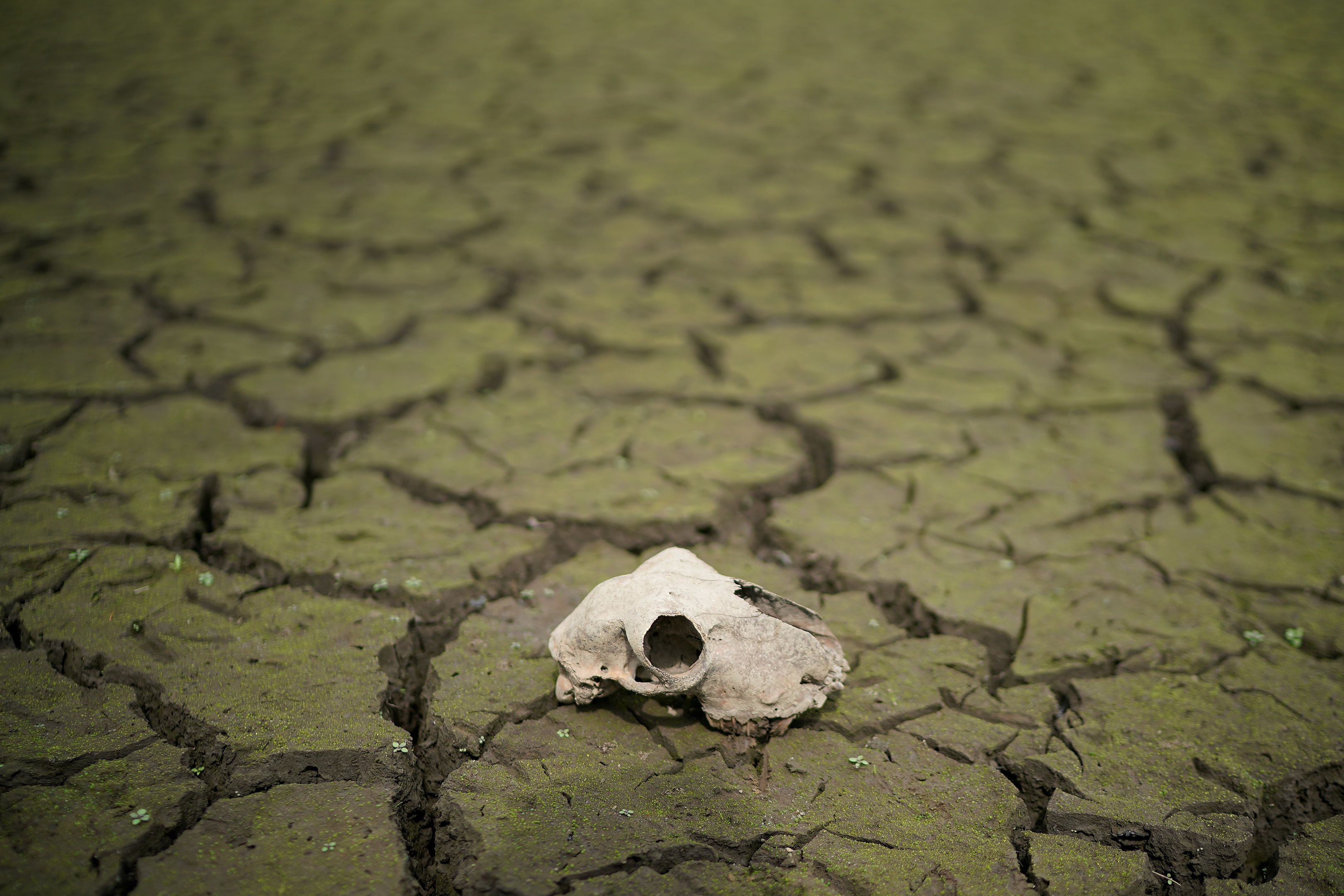 The dried up bed of Wayoh Reservoir near Bolton as the heatwave continues across the UK (Christopher Furlong/Getty Images)