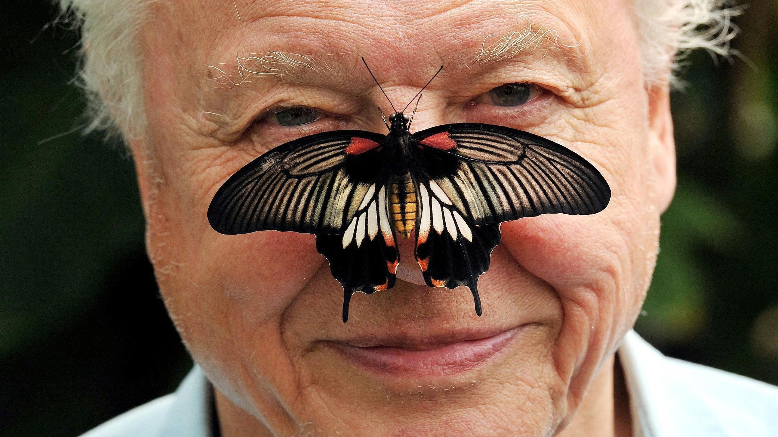 David Attenborough (Press Association)