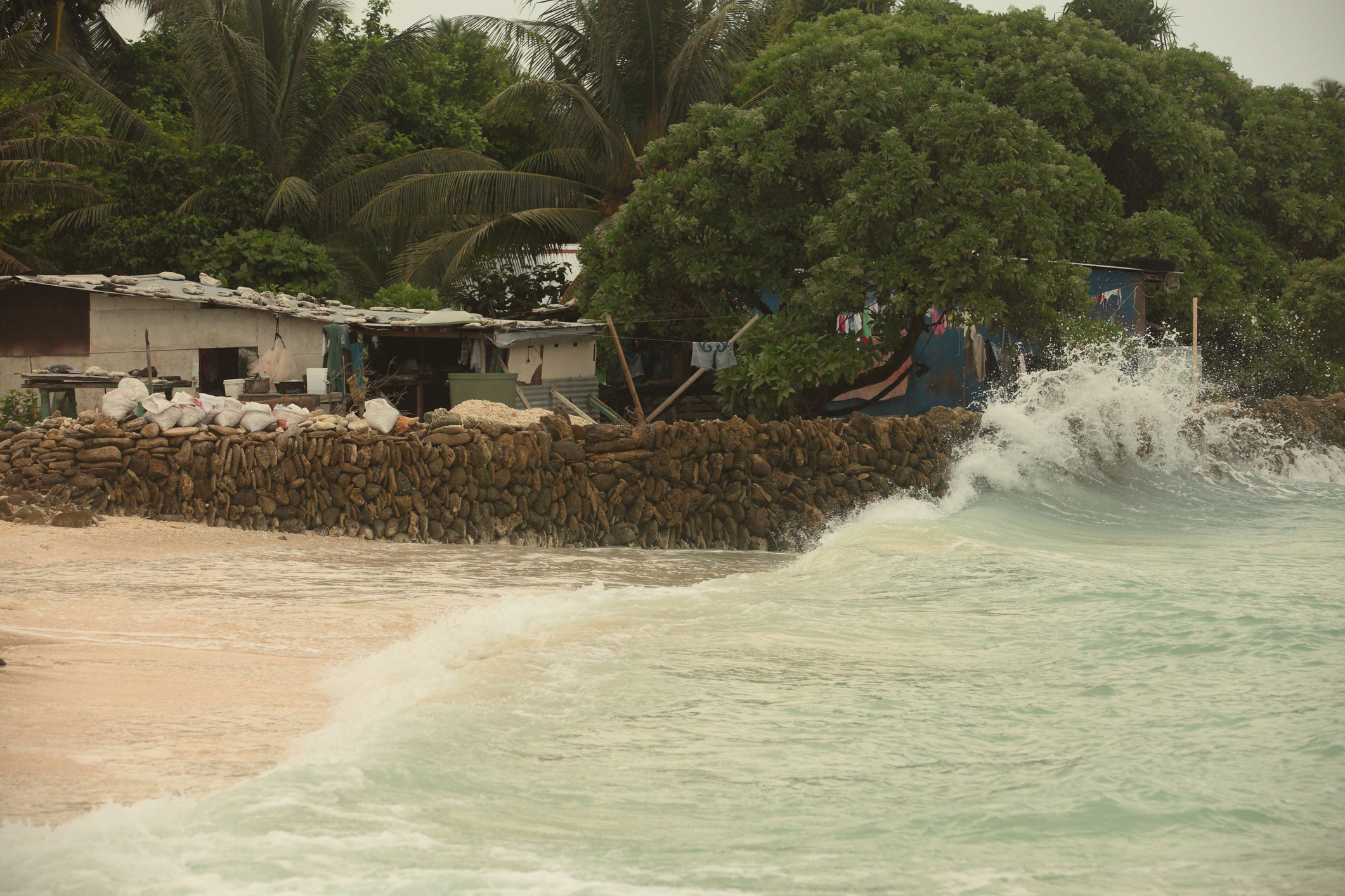 Effects of climate change are now eliminating the chance of the Bikini islands in the South Pacific being inhabitable in the future