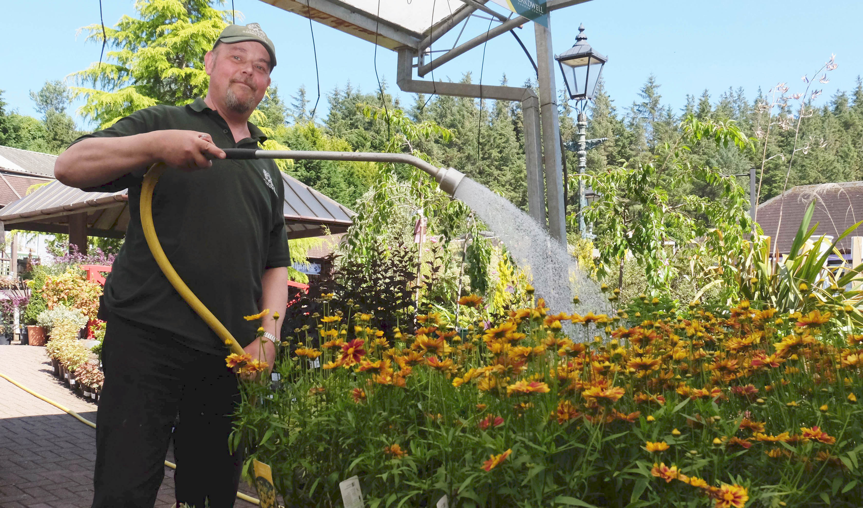 Brian Hawthorn watering plants in the shade at Cardwell Garden Centre