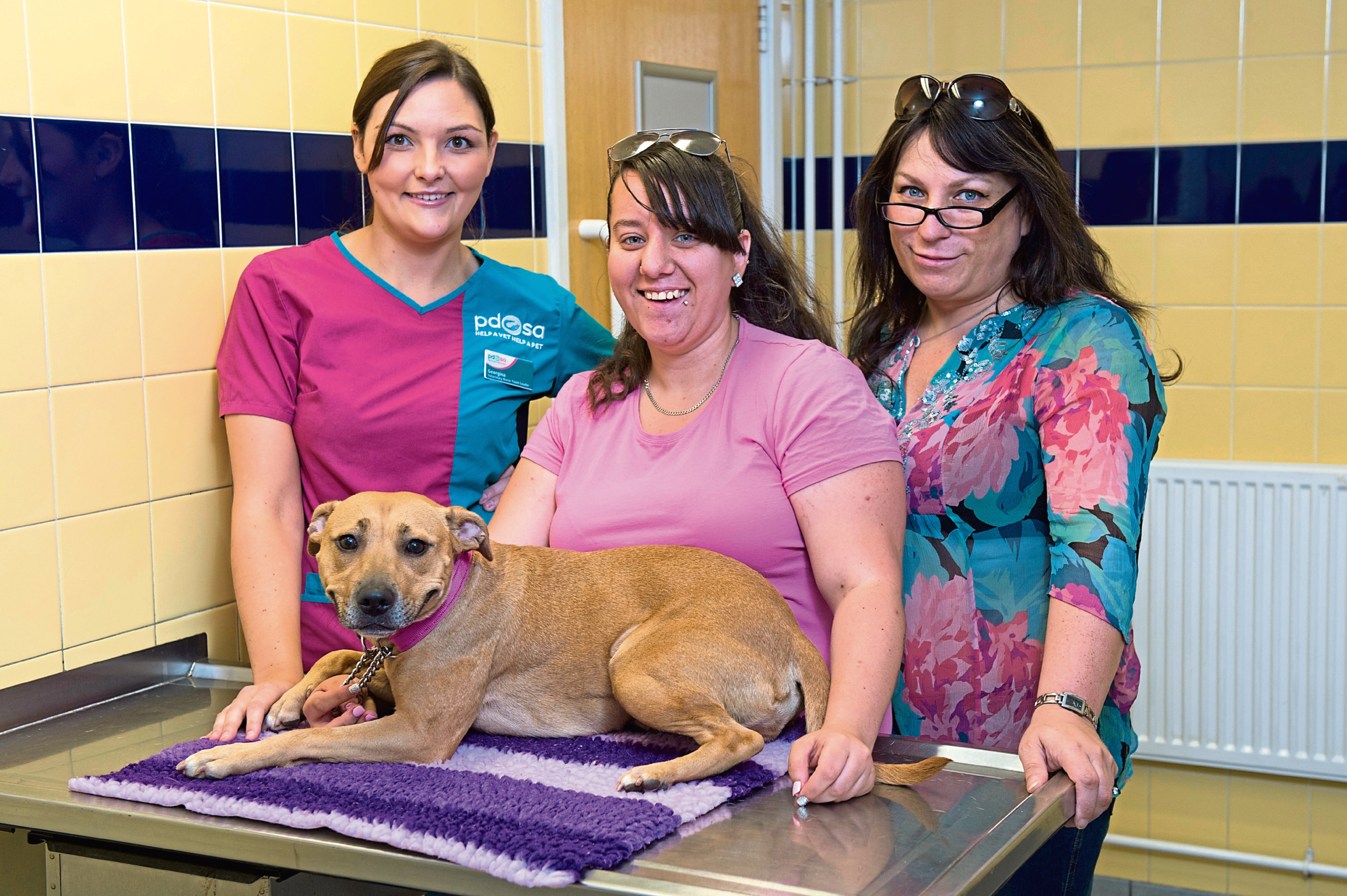 Brandy was playing with a stick which became lodged in her shoulder and throat (Ben Stevens / PDSA)