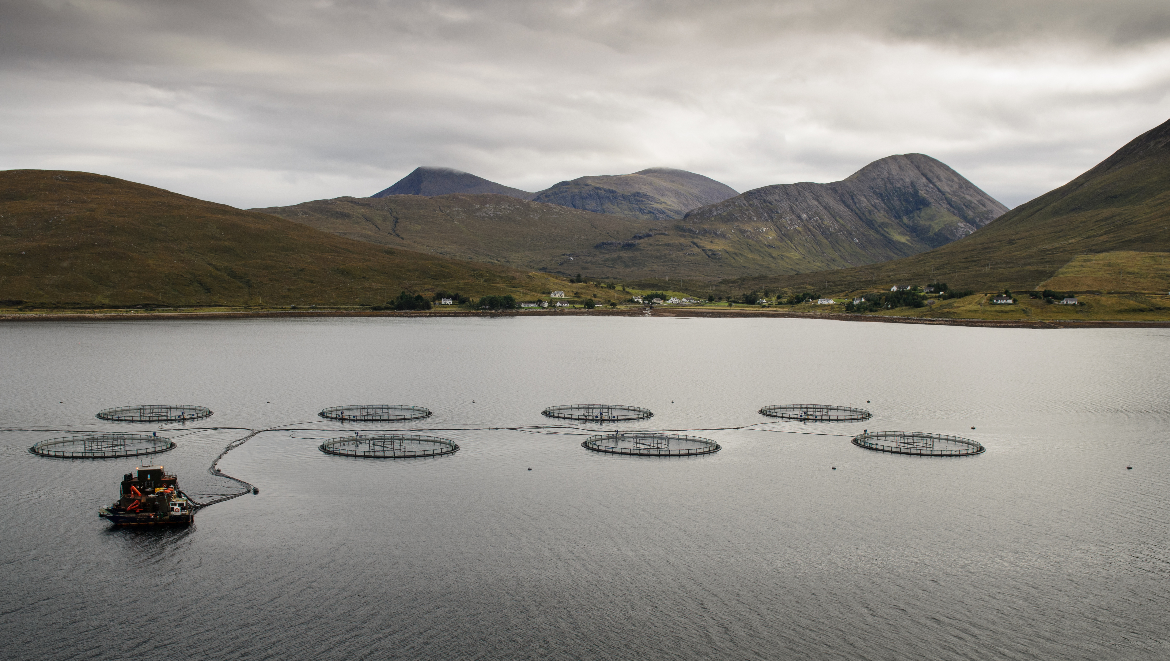 Fish farming is one of Scotland's most lucrative industries, but its environmental impact is coming under fire.