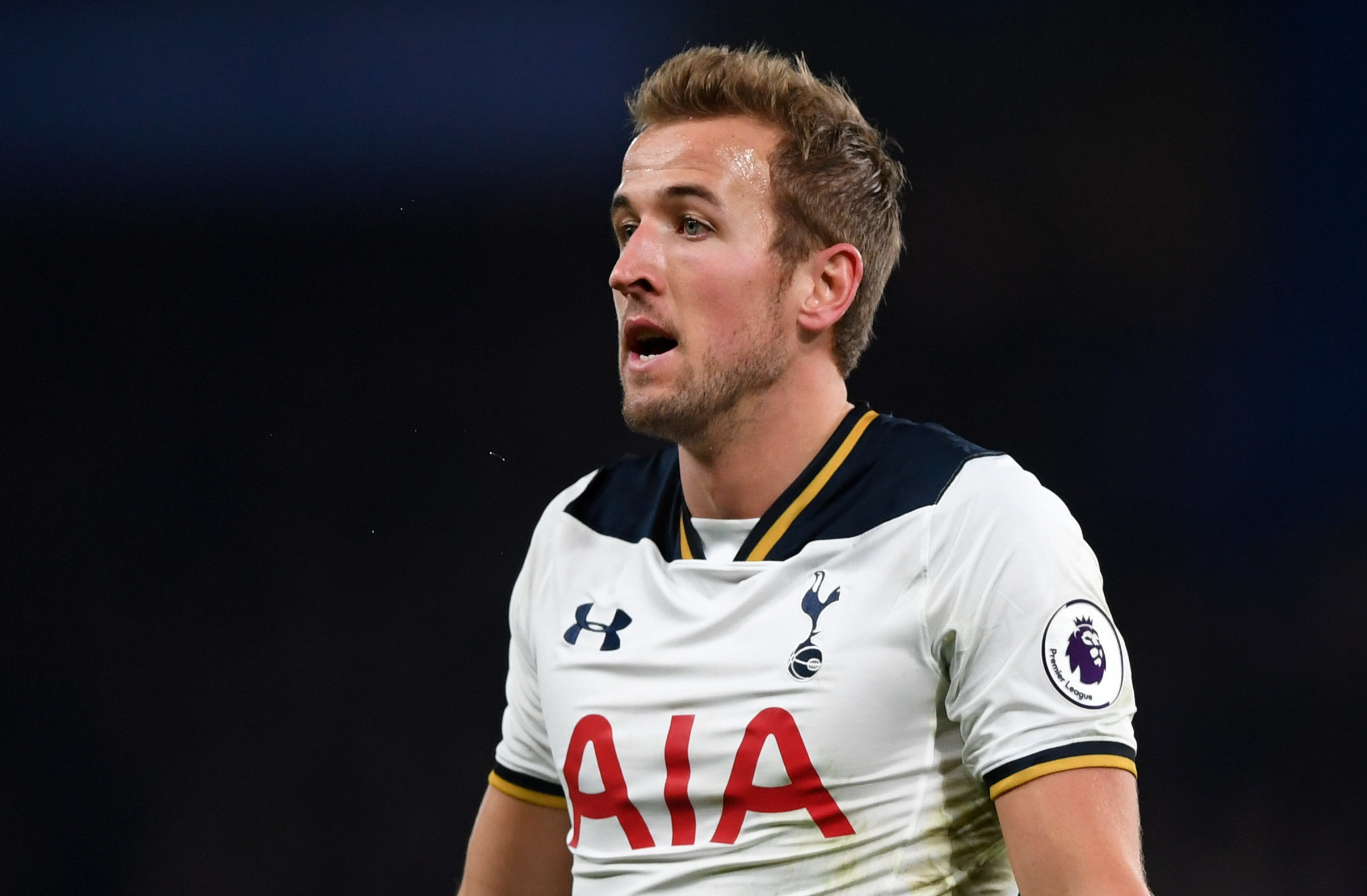 Harry Kane (Shaun Botterill/Getty Images)