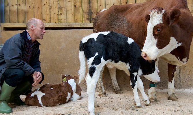 The Ethical Dairy, Rainton Farm.