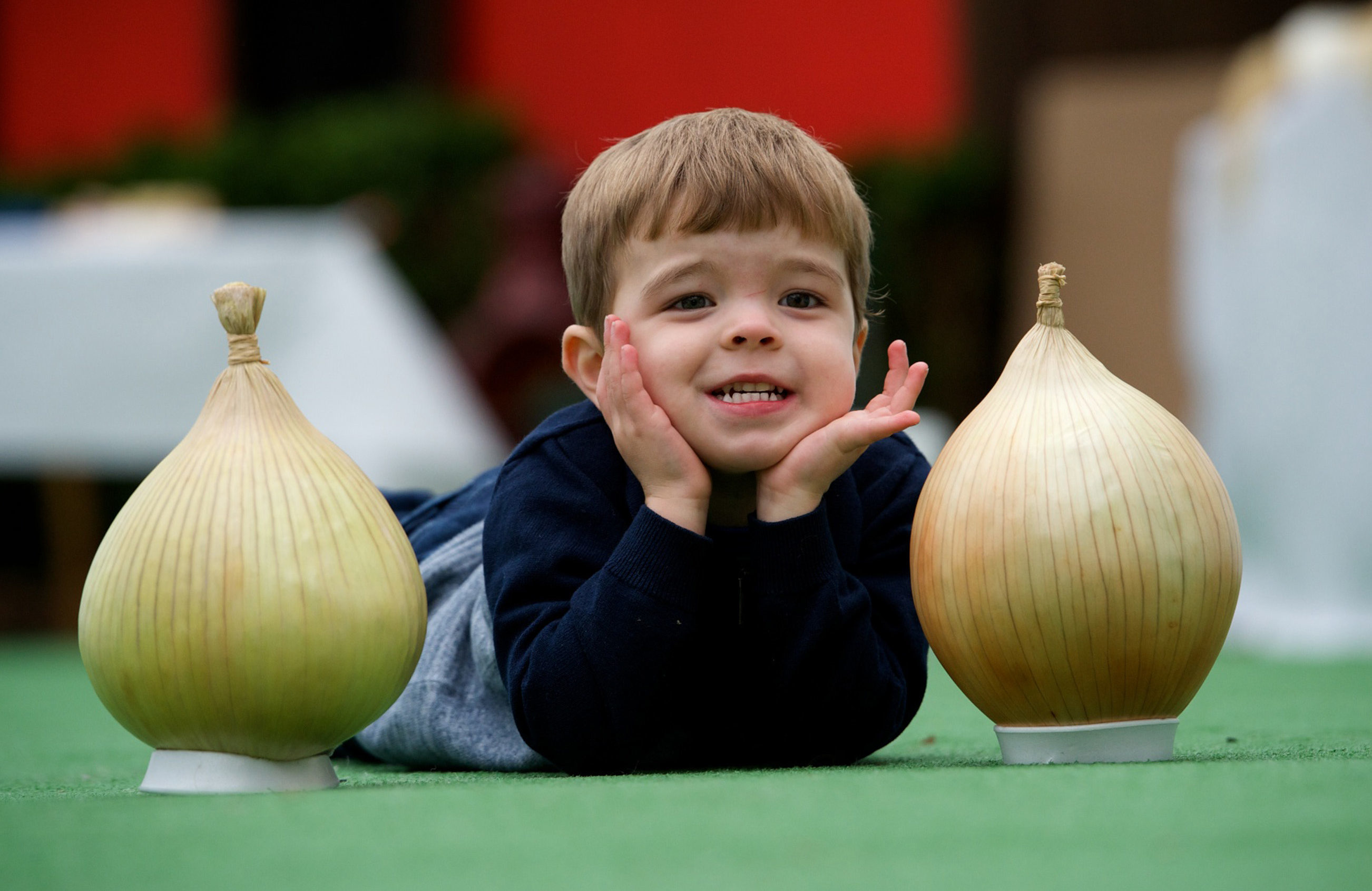 Youngster Ethan Hainey, from Inchinnan, in Renfrewshire knows his onions