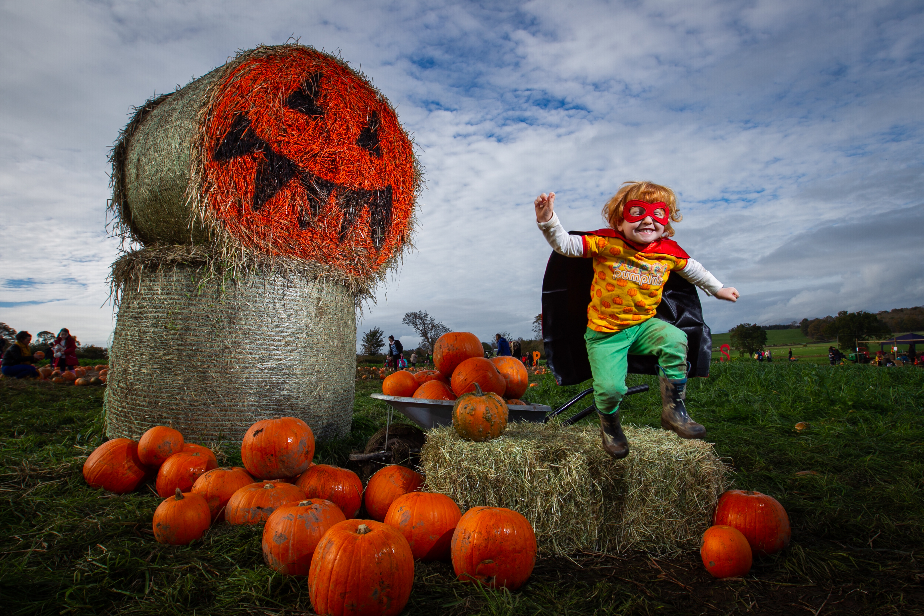 Halloween isn't cancelled if you know where to go this year.