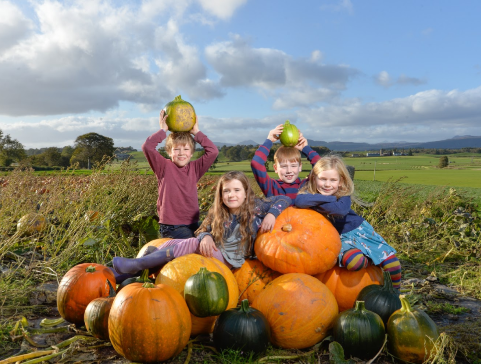 It's a pumpkin paradise at Arnprior Farm this October.