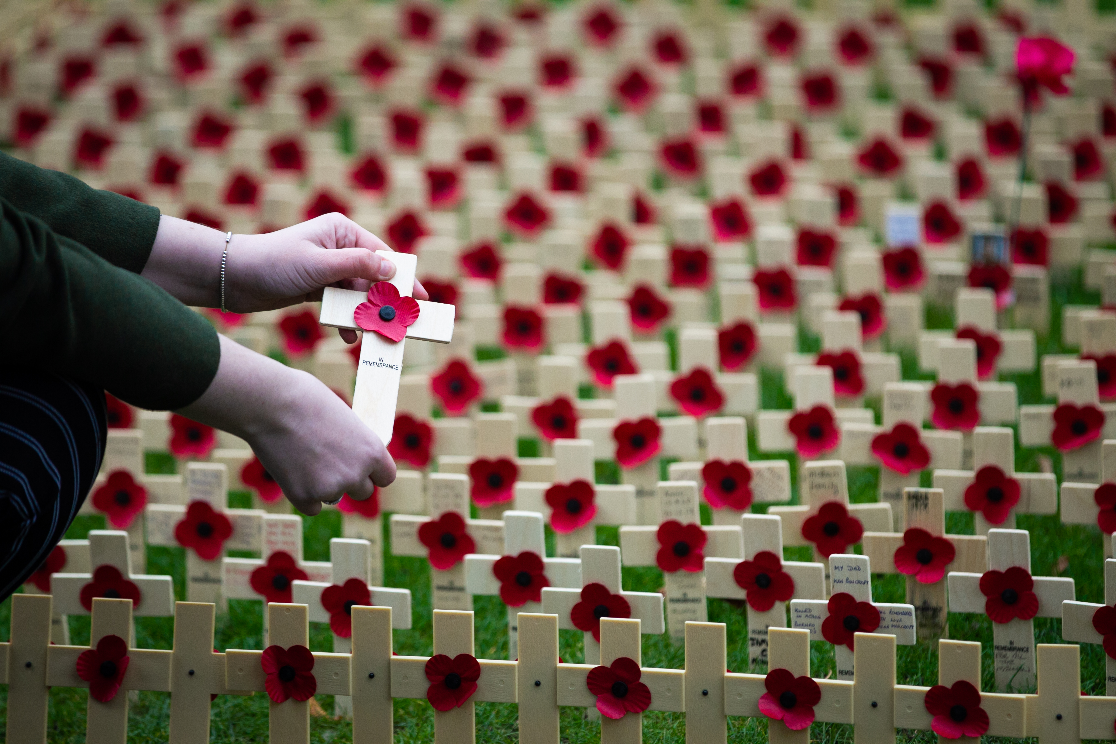 Remembrance Garden in Princes Street Gardens in Edinburgh (Andrew Cawley / DC Thomson)