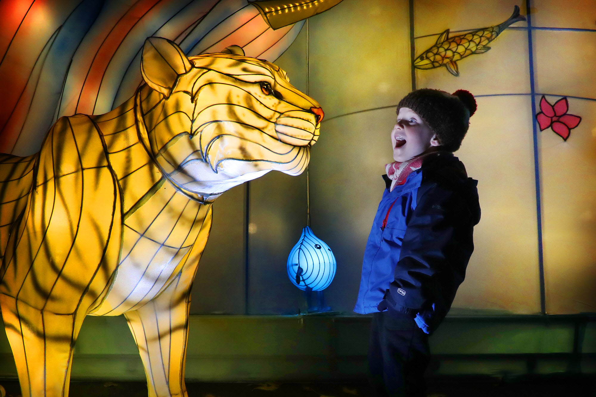 Young visitor Magnus McMahon at The Giant Lanterns of China, a trail at the zoo featuring hundreds of gigantic lanterns inspired by mythical creatures (RZSS Edinburgh Zoo/PA Wire)