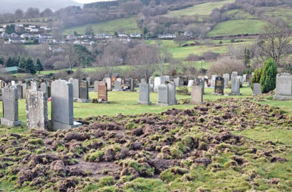 Previous damage to Lamlash Cemetery caused by badgers. (The Arran Banner)