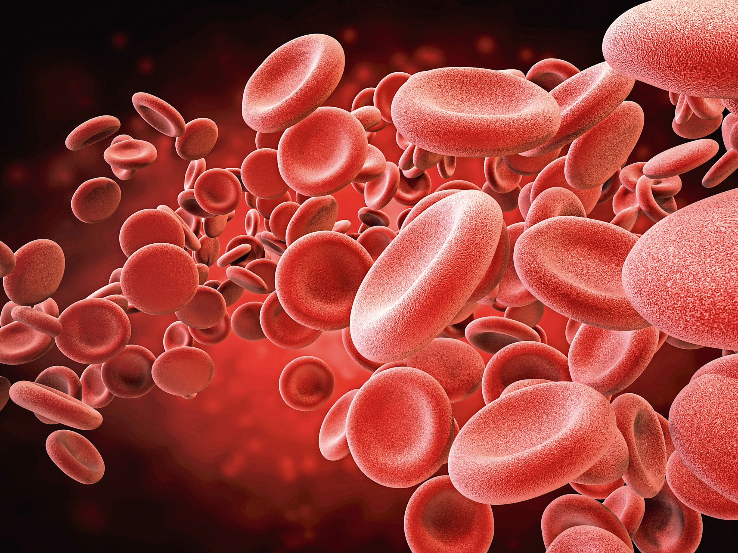 3d rendering red blood cells in vein.