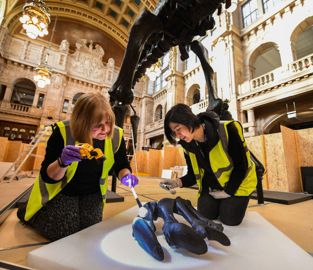 kelvingrove dinosaur