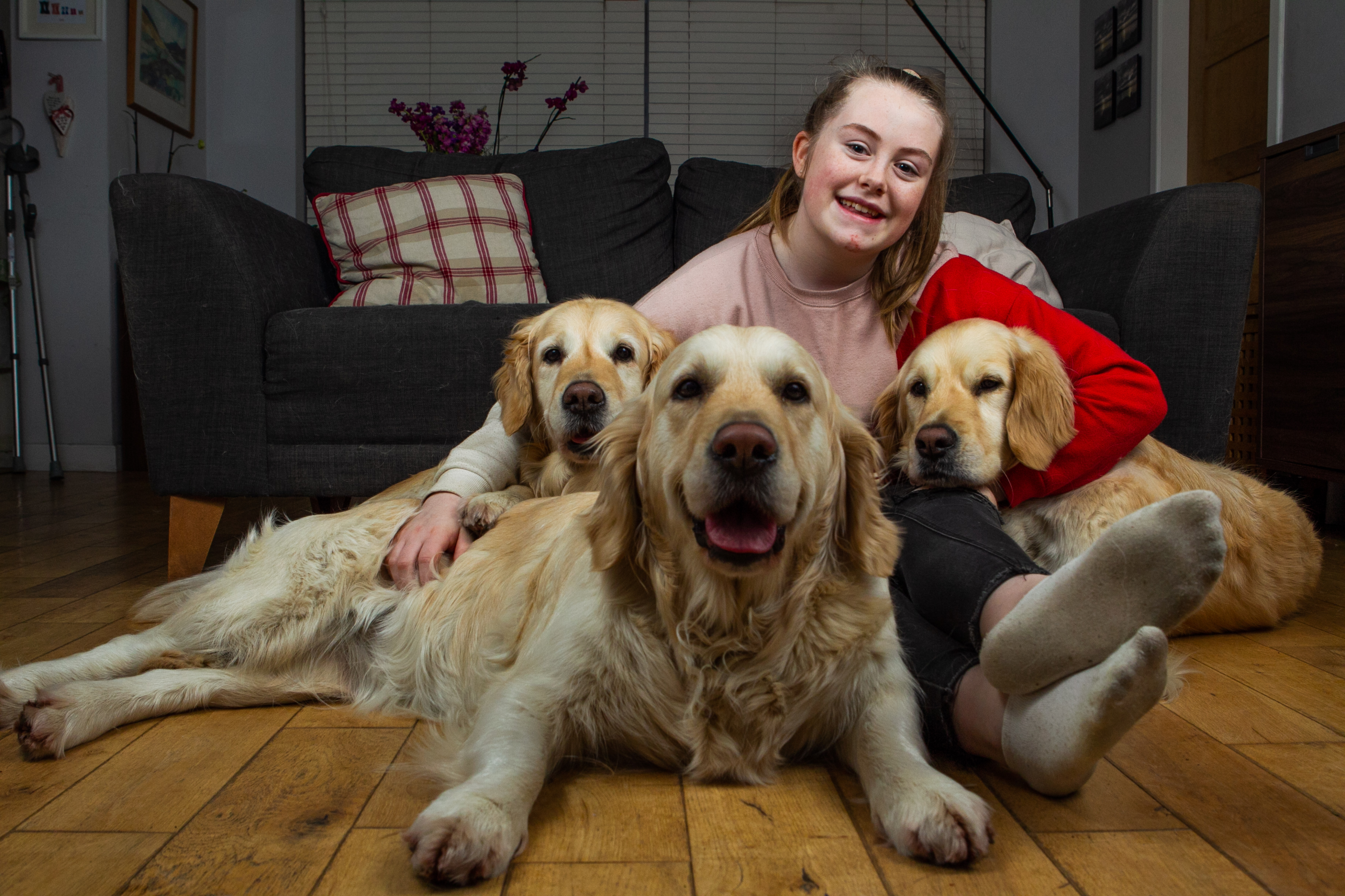 Drymen teenager Orla Robb with her three dogs, Sunny, Amber and Heidi (Andrew Cawley / DCT Media)