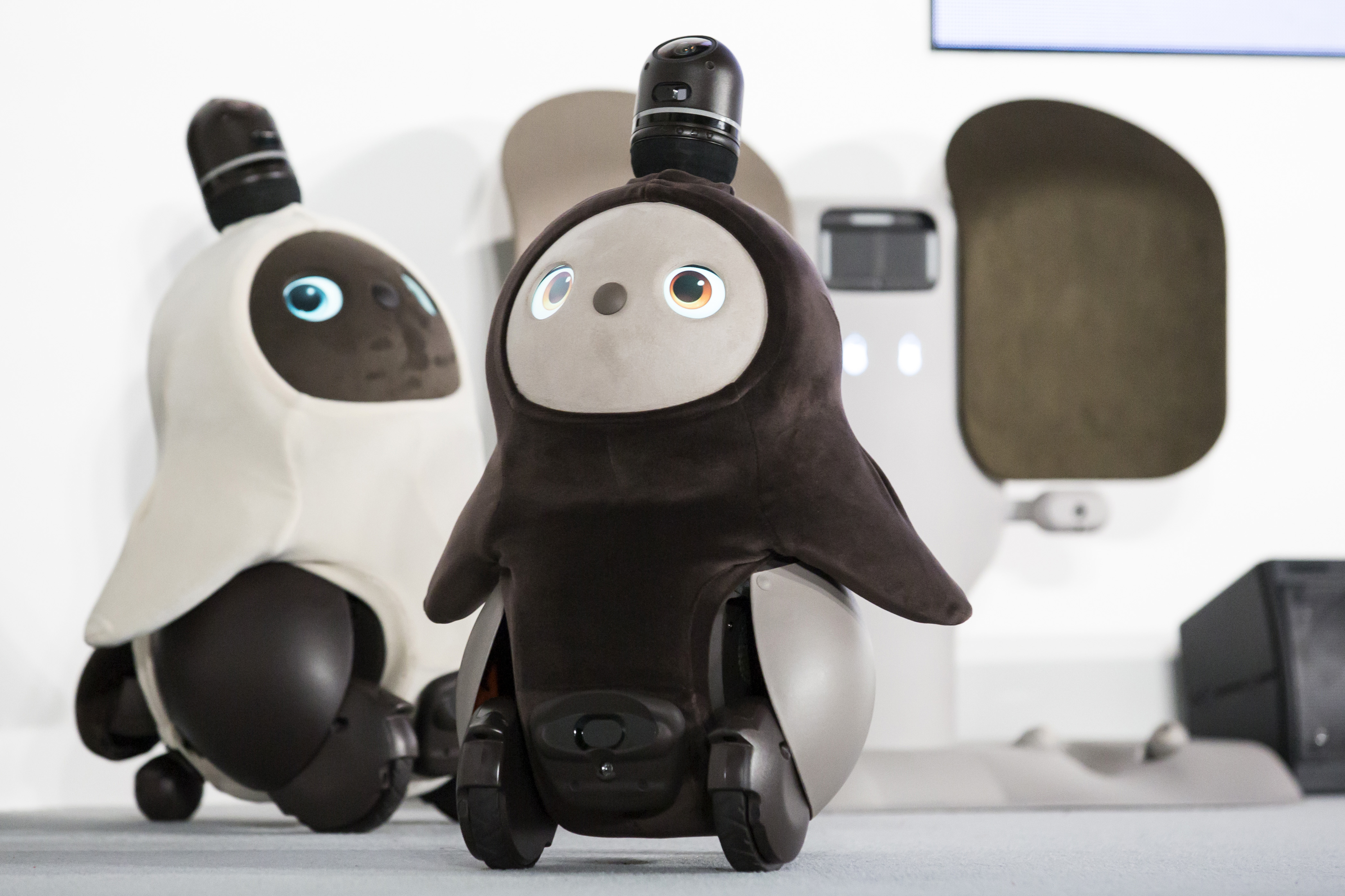 Pet robots developed in Japan (Tomohiro Ohsumi/Getty Images)